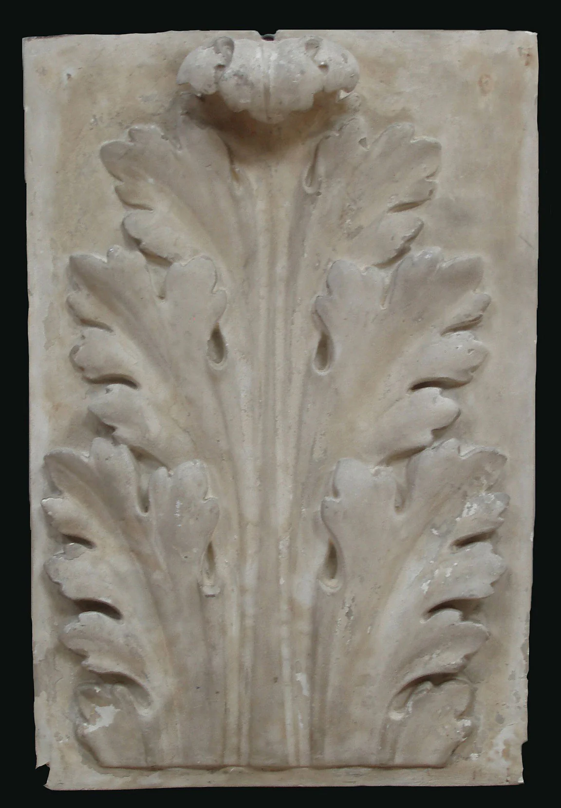 Acanthus - Item #18