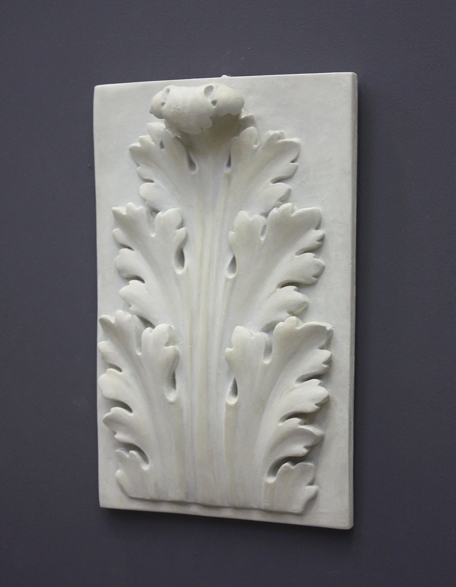 Acanthus - Item #18 - Image 3