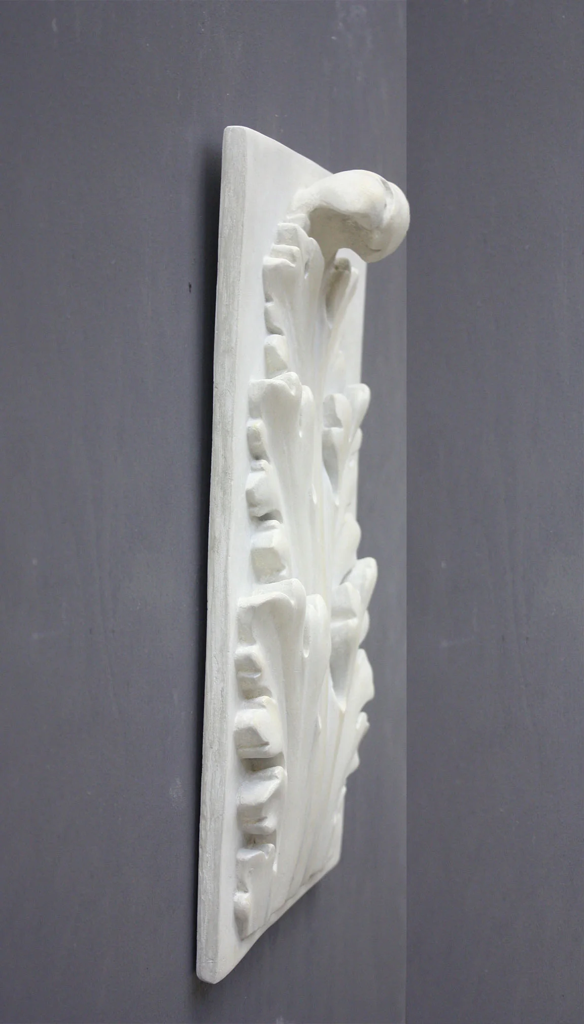 Acanthus - Item #18 - Image 6