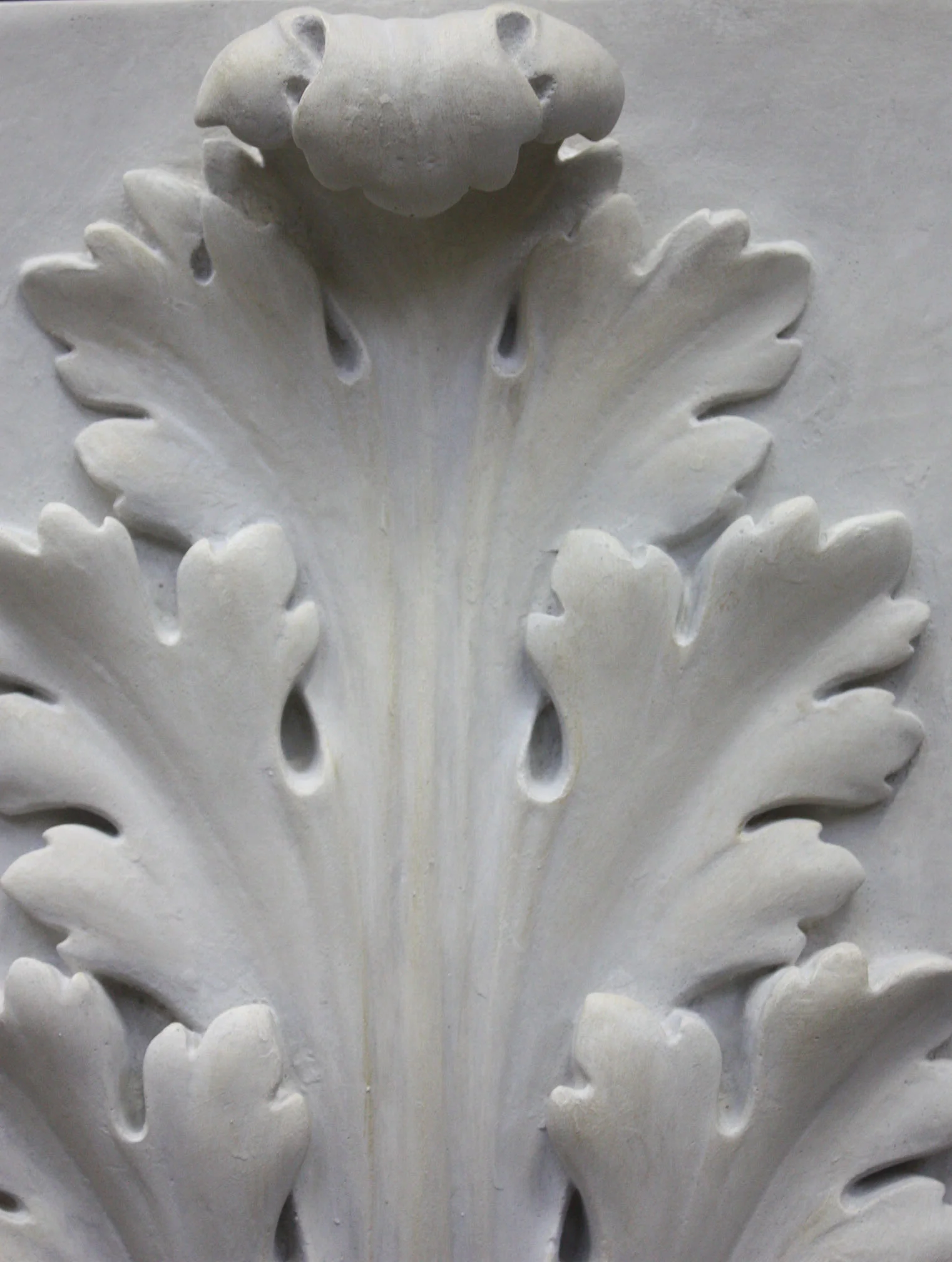 Acanthus - Item #18 - Image 7
