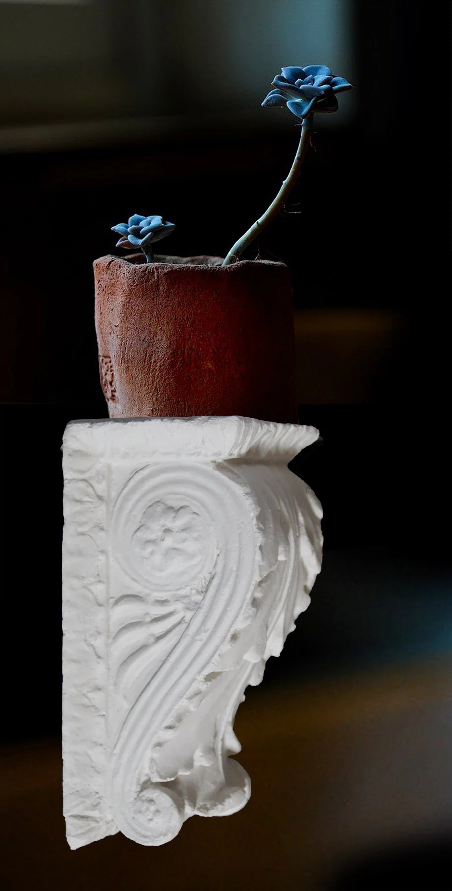 Acanthus Wall Bracket - Item #734 - Image 2