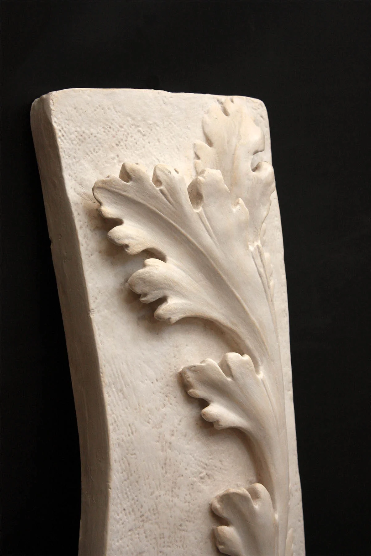 Acanthus Wall Detail - Item #641 - Image 3