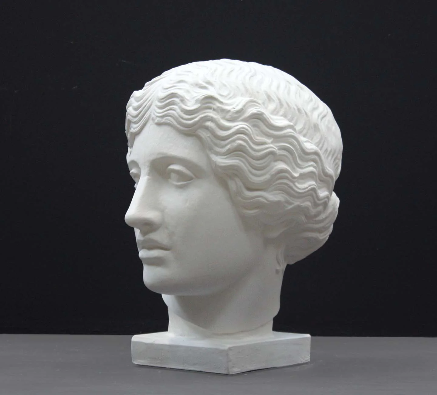 Amazon Head - Item #435 - Image 2