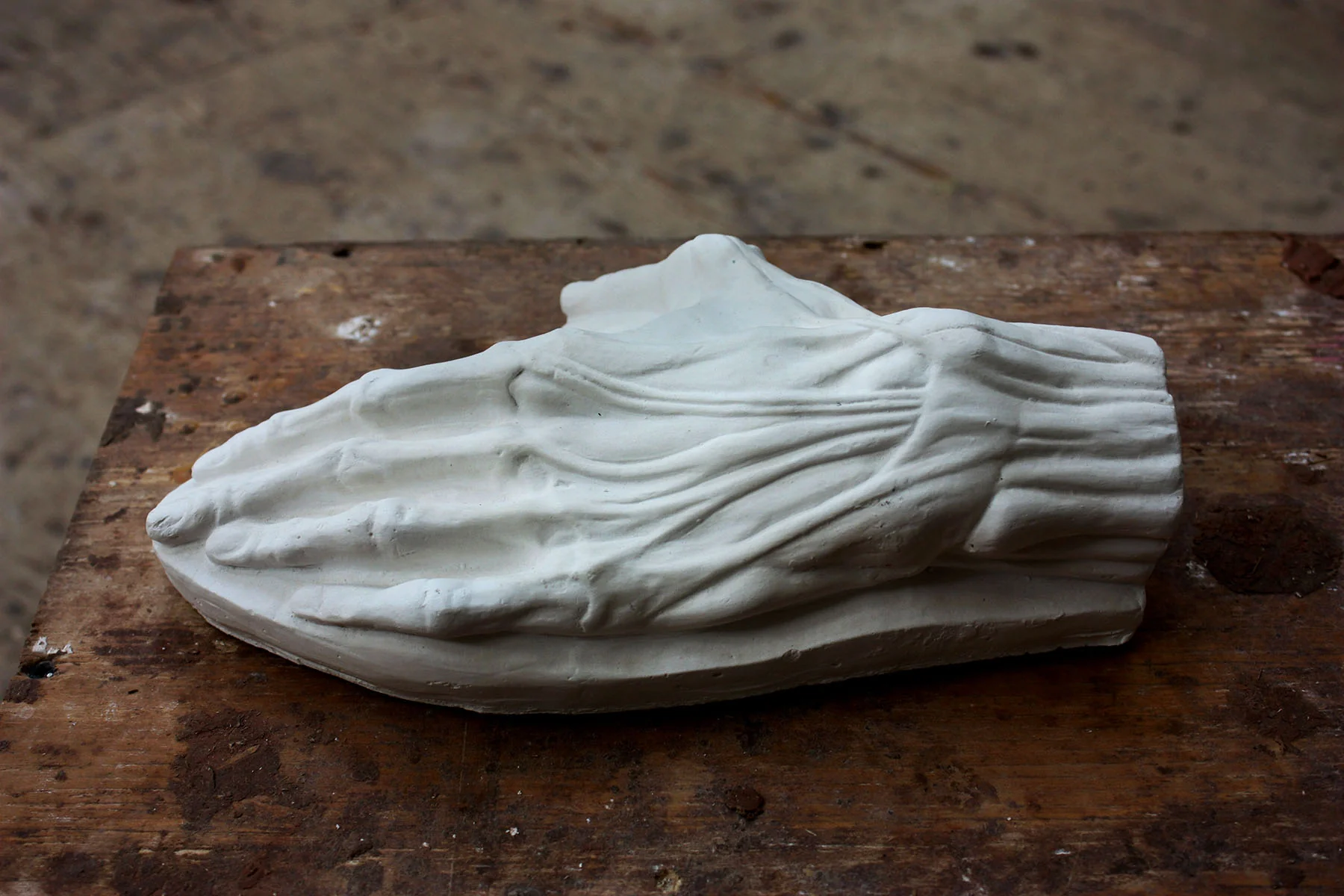 Anatomical Hand, On Panel - Item #807 - Image 2