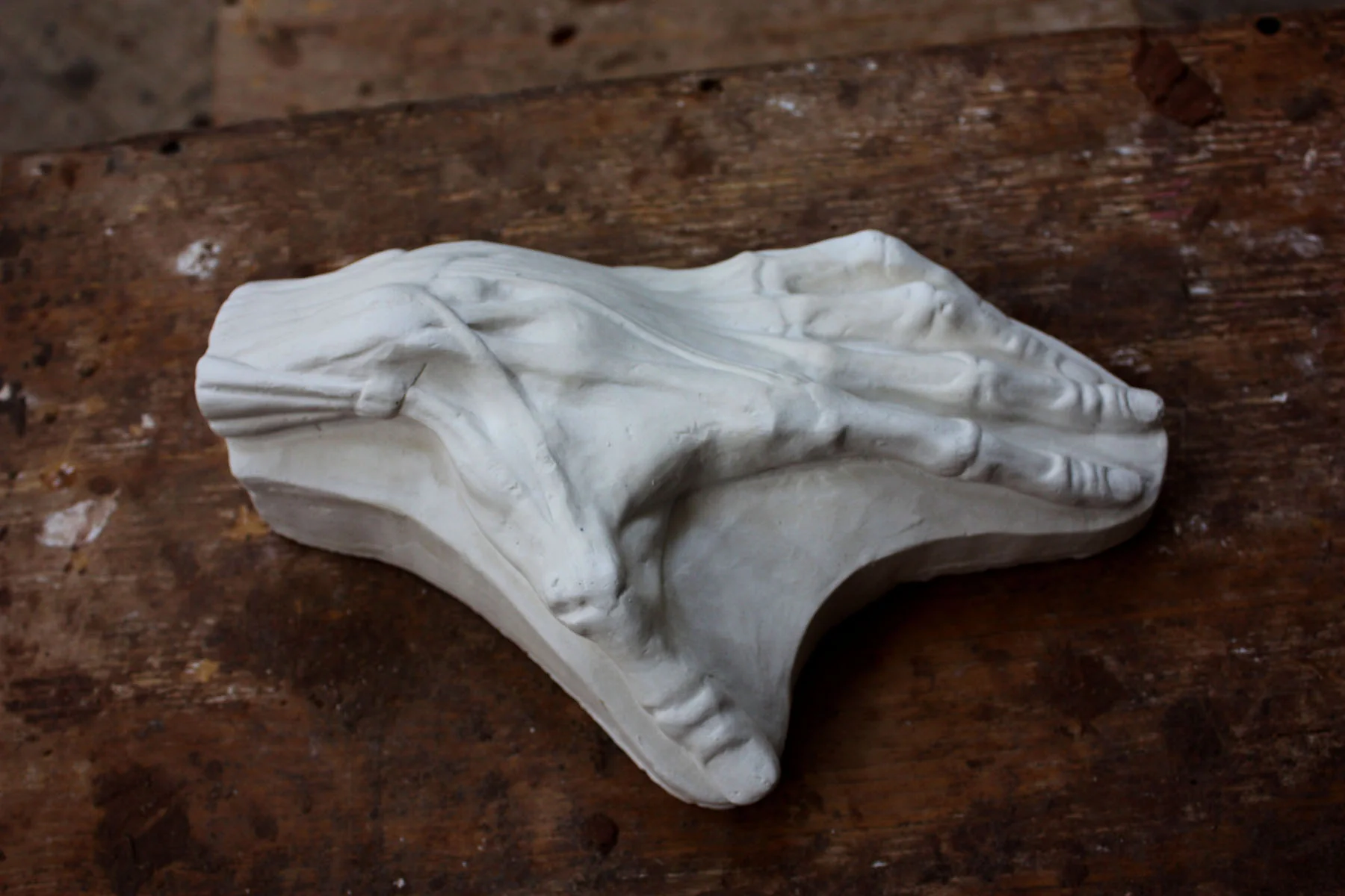 Anatomical Hand, On Panel - Item #807 - Image 3