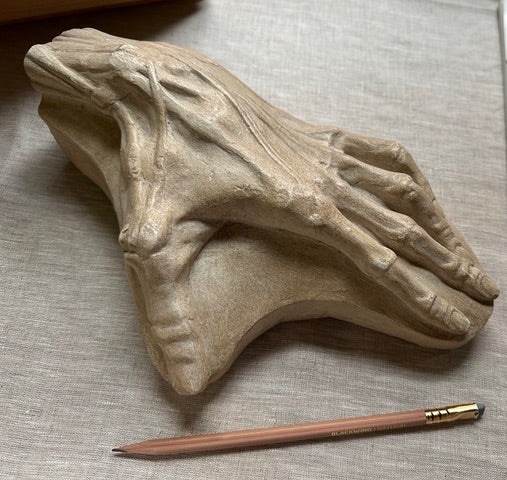 Anatomical Hand, On Panel - Item #807 - Image 4