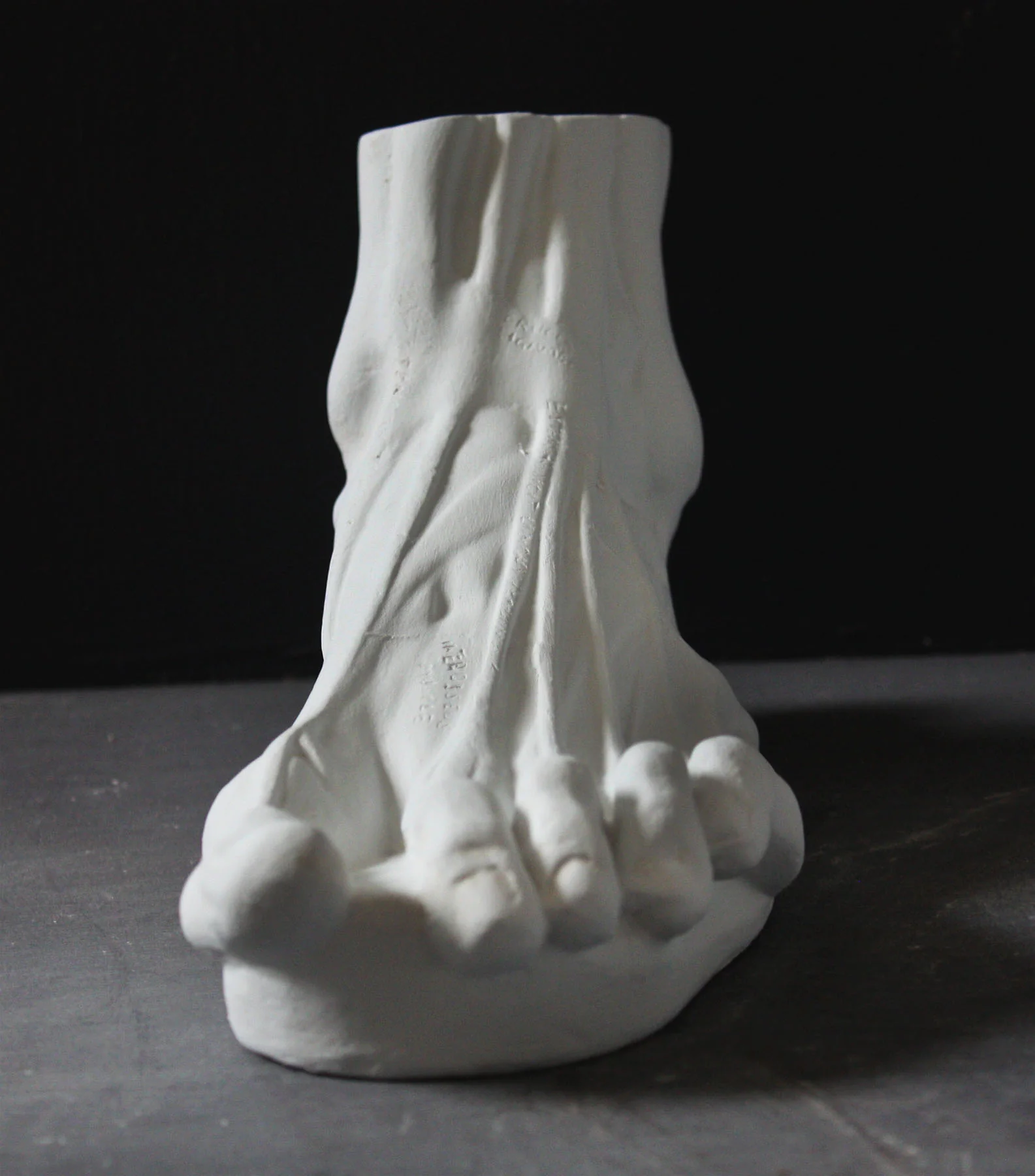 Anatomical Left Foot - Item #629 - Image 5
