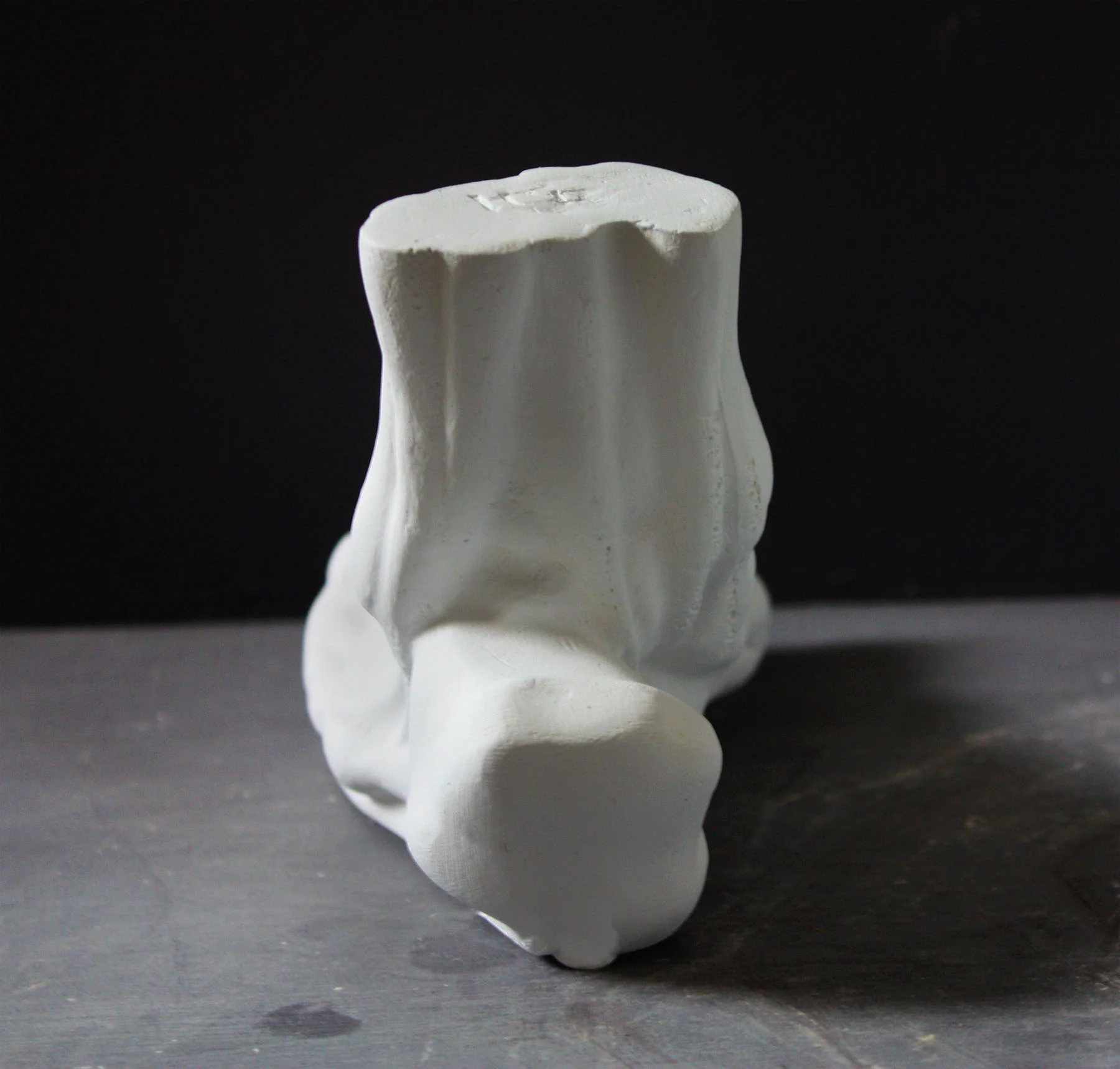Anatomical Left Foot - Item #629 - Image 6