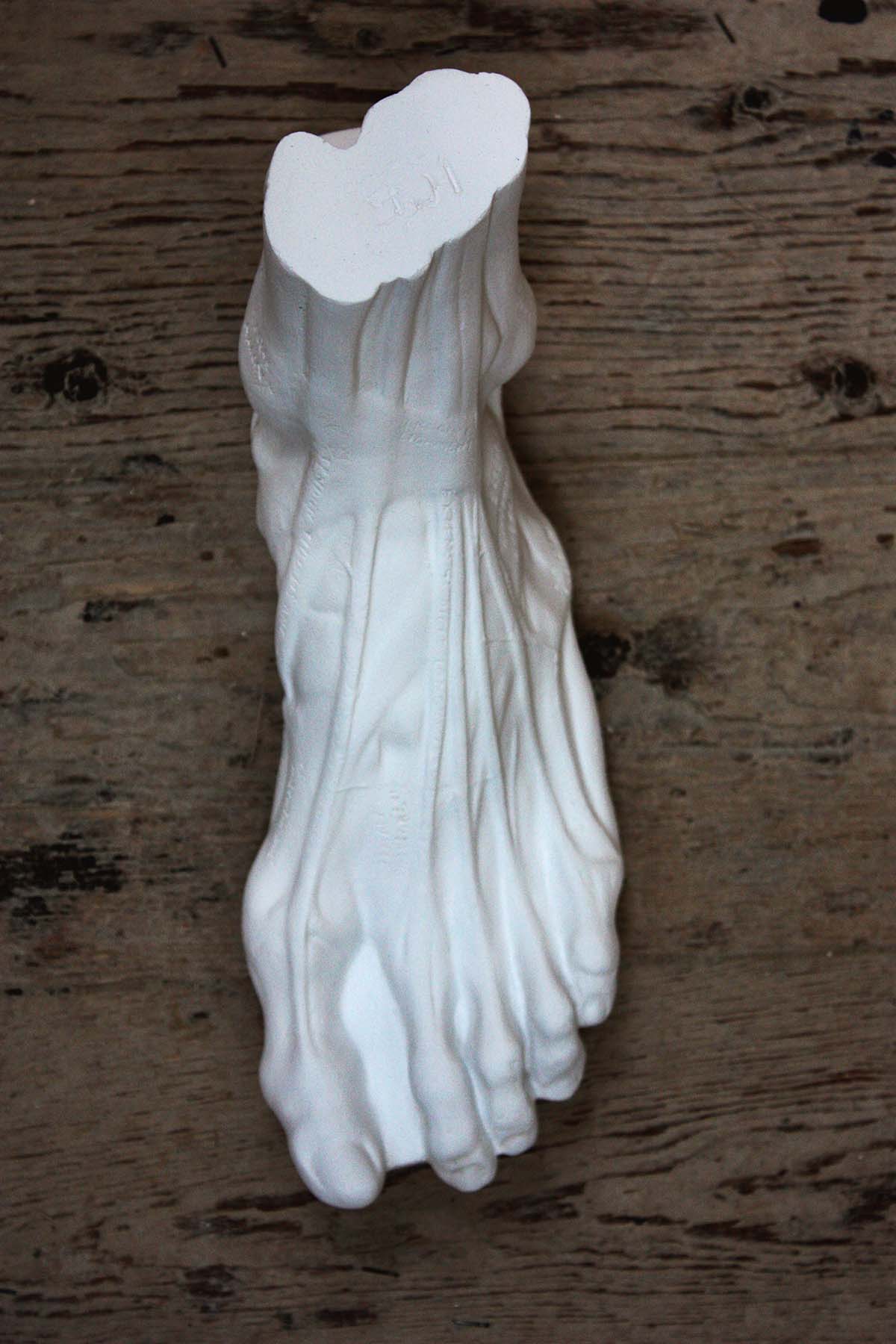 Anatomical Left Foot - Item #629 - Image 7