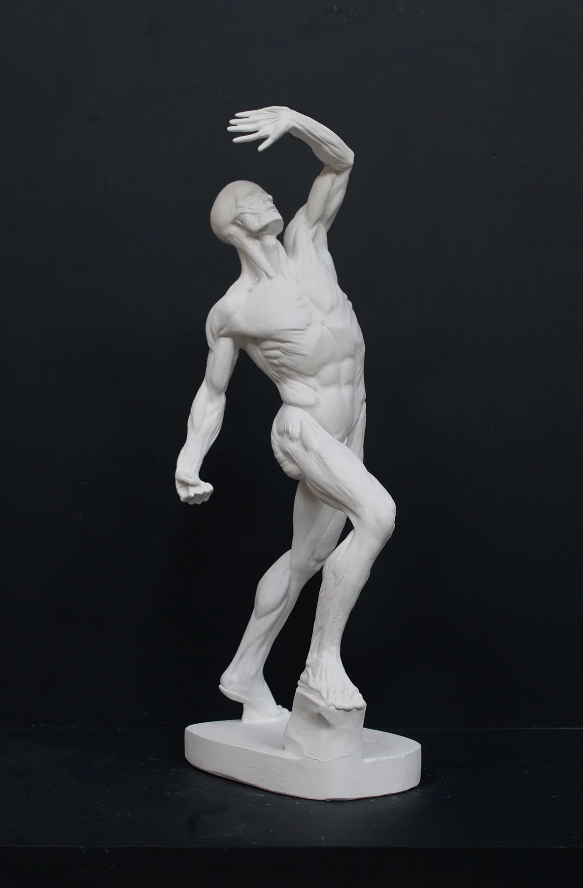 Anatomical Man (New) - Item #626