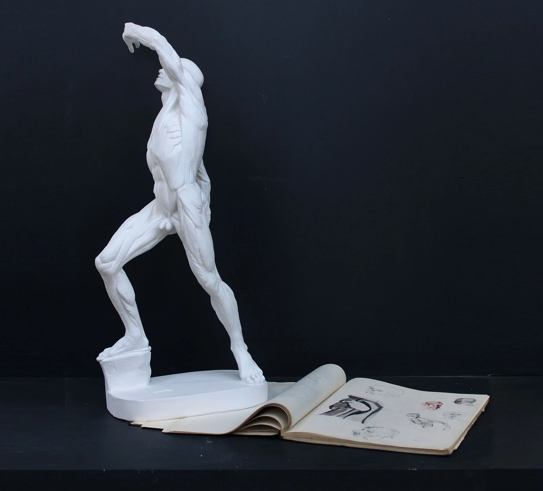 Anatomical Man (New) - Item #626 - Image 7