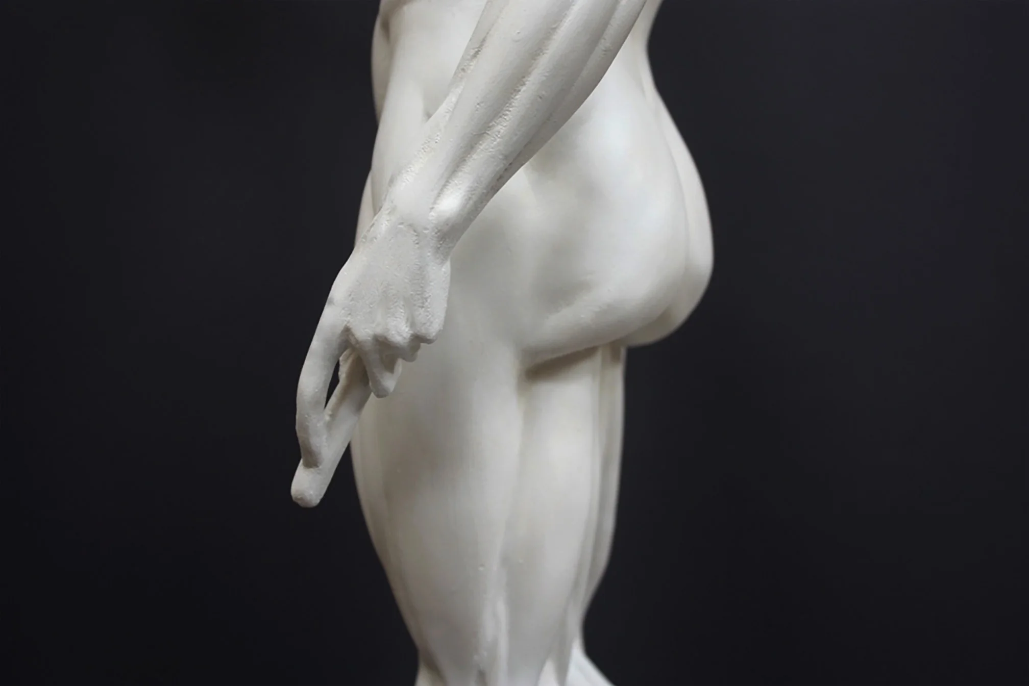 Anatomical Man No 3 - Item #625 - Image 10