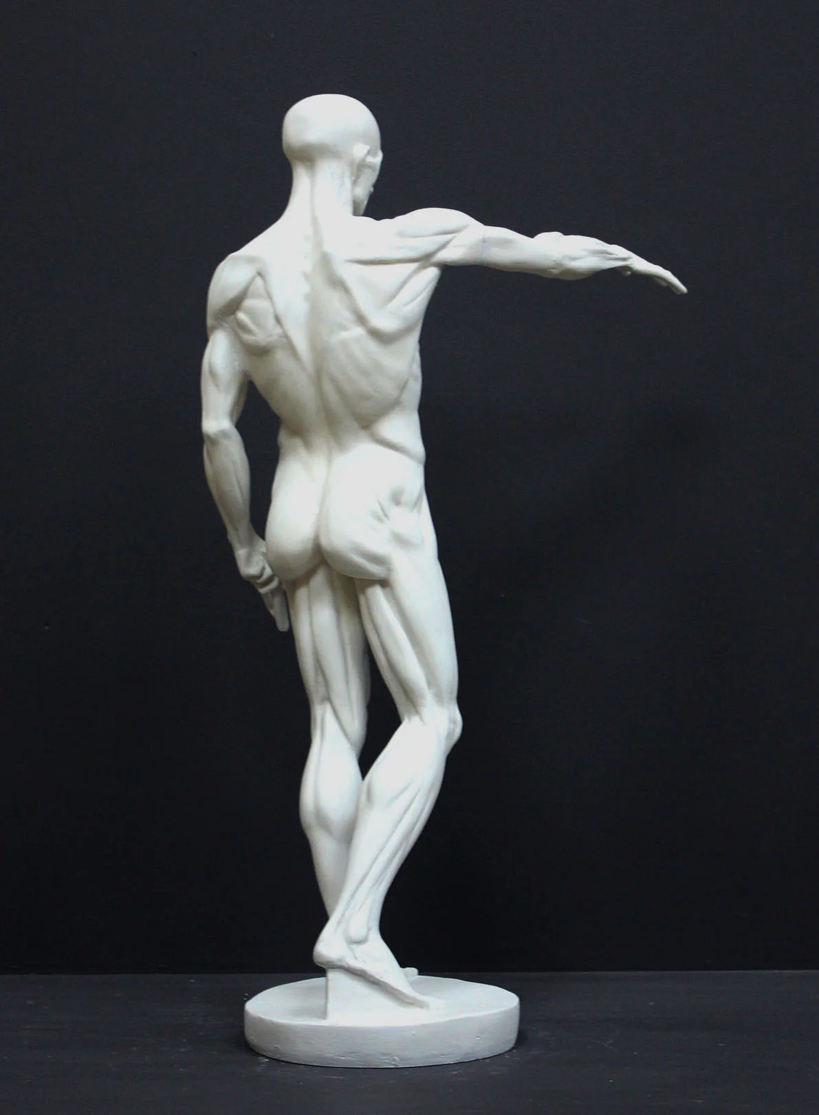 Anatomical Man No 3 - Item #625 - Image 4