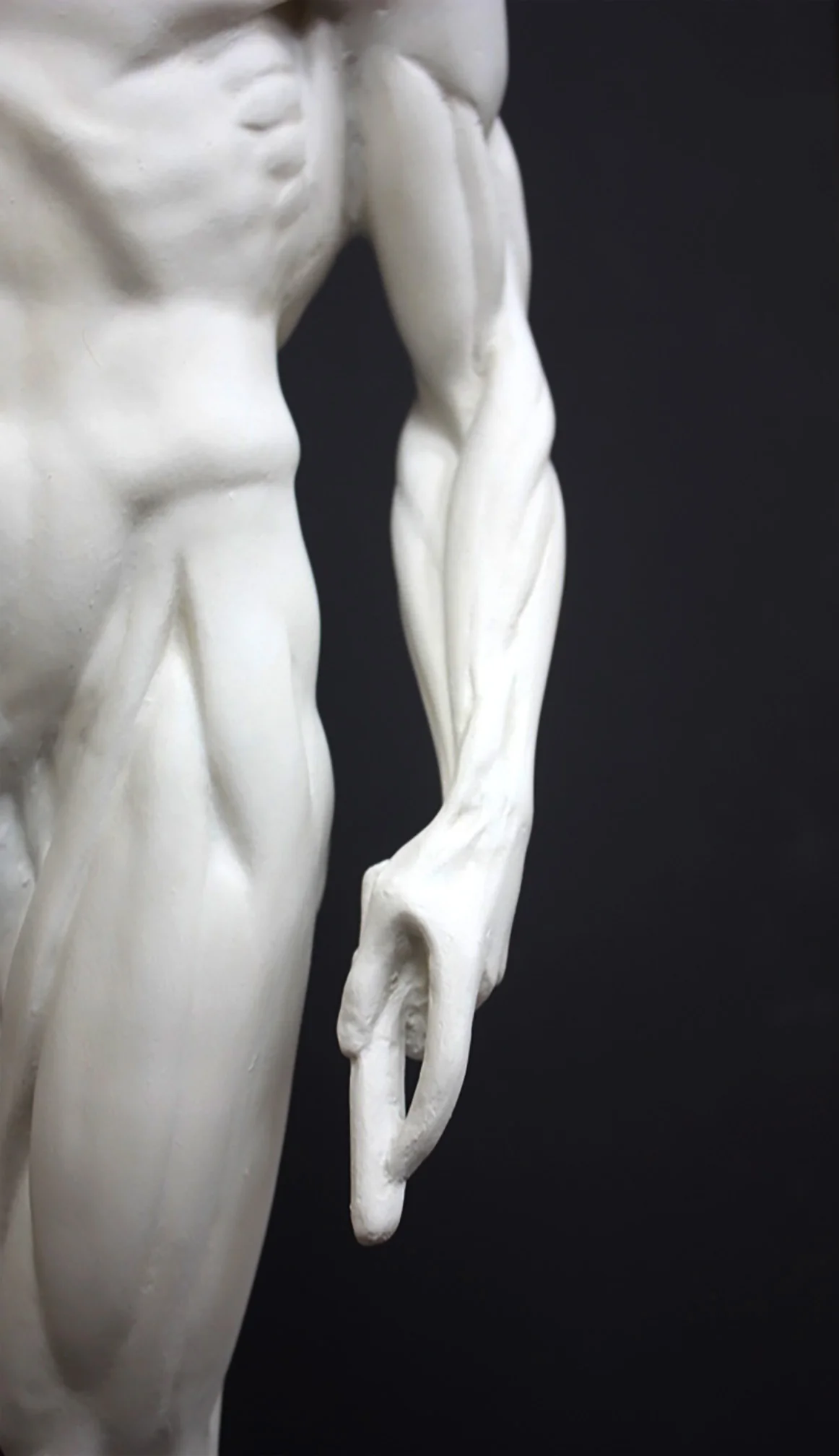 Anatomical Man No 3 - Item #625 - Image 8