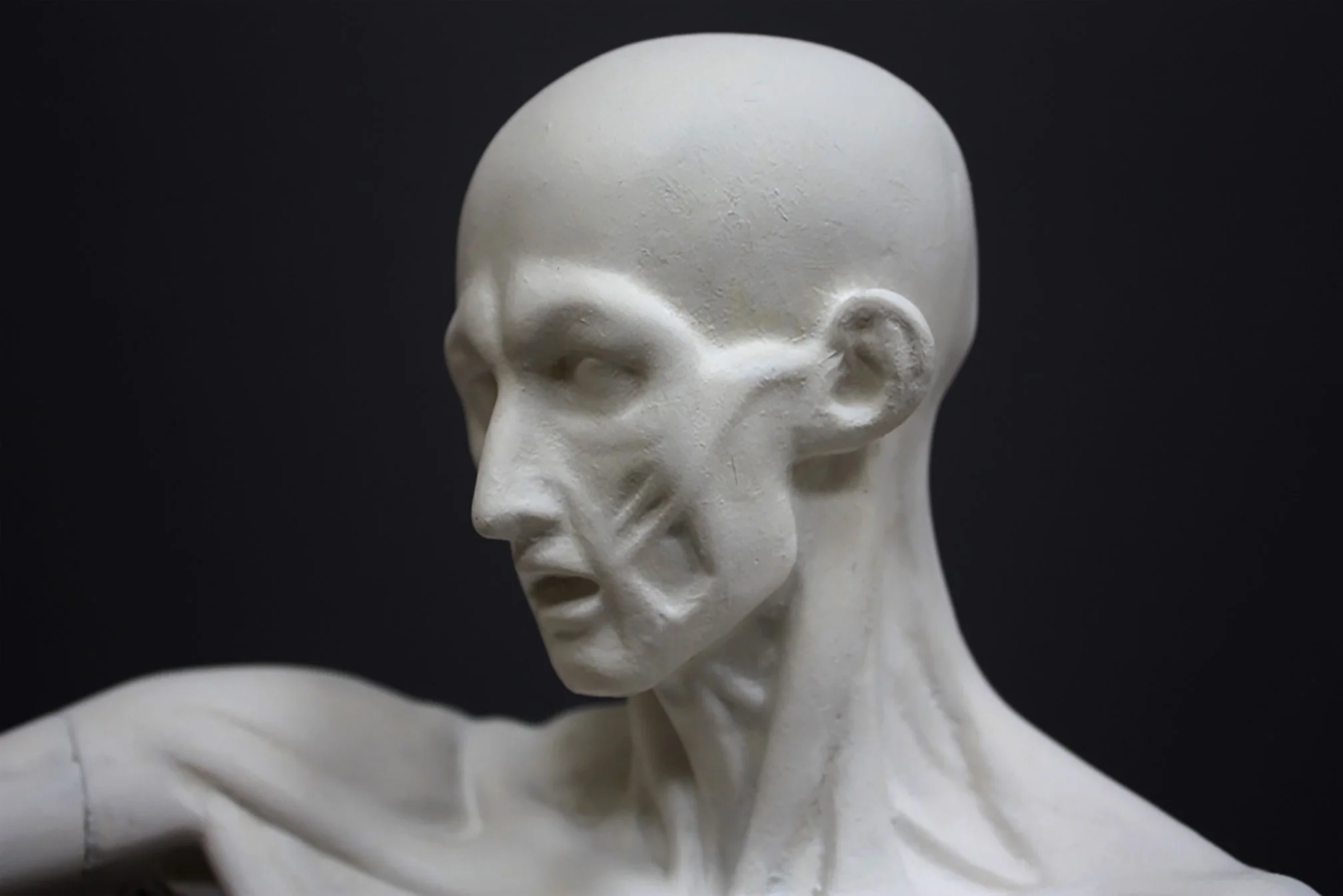 Anatomical Man No 3 - Item #625 - Image 9