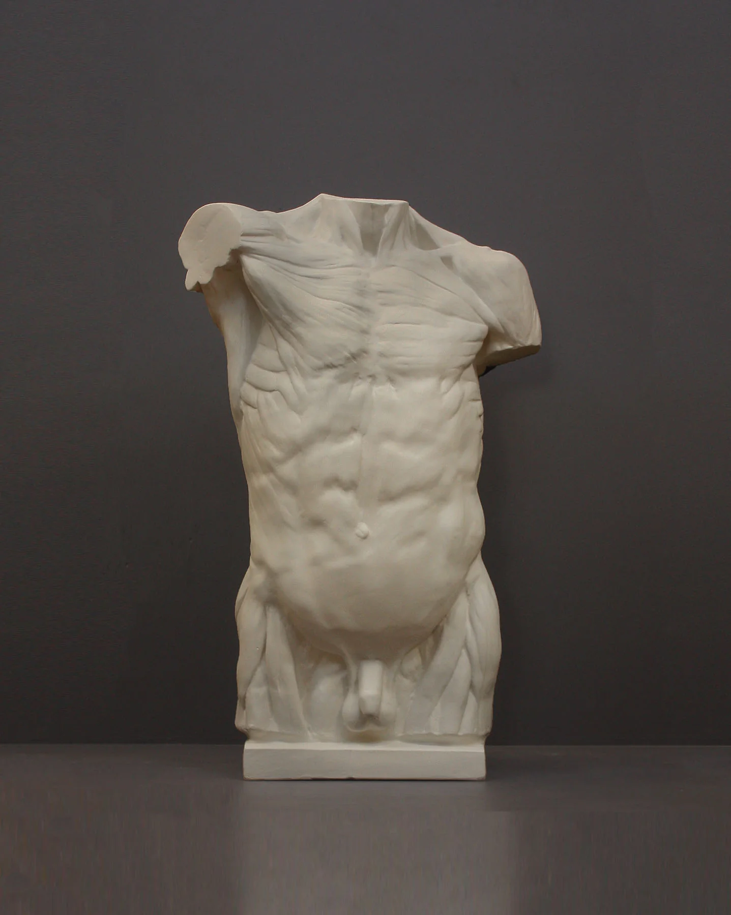 Anatomical Torso - Item #624