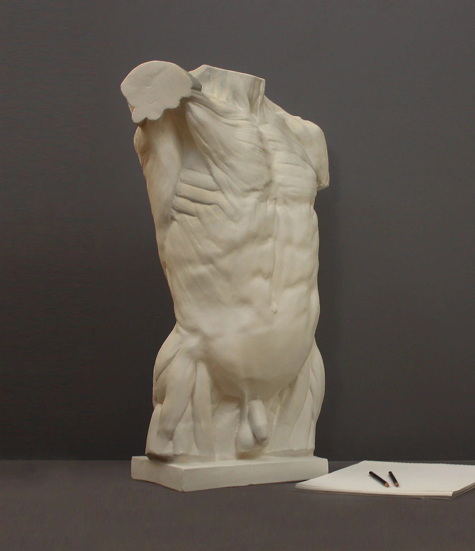 Anatomical Torso - Item #624 - Image 11