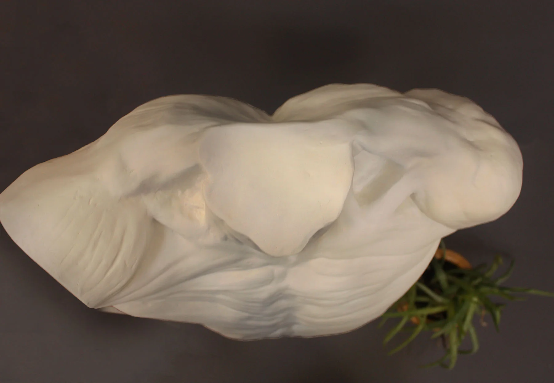 Anatomical Torso - Item #624 - Image 13