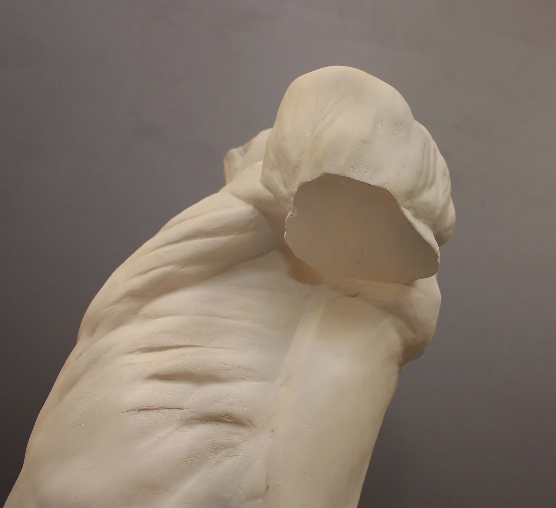 Anatomical Torso - Item #624 - Image 14