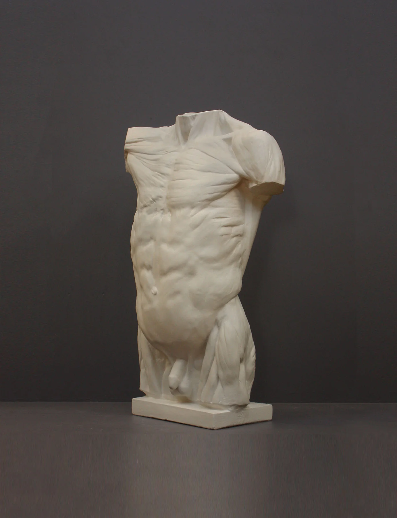 Anatomical Torso - Item #624 - Image 2
