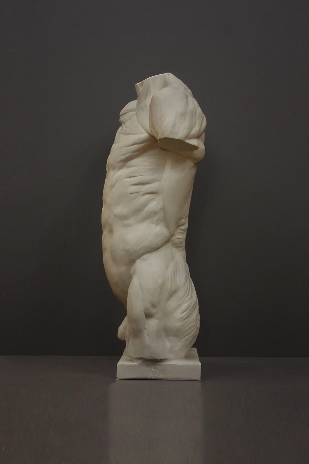 Anatomical Torso - Item #624 - Image 3