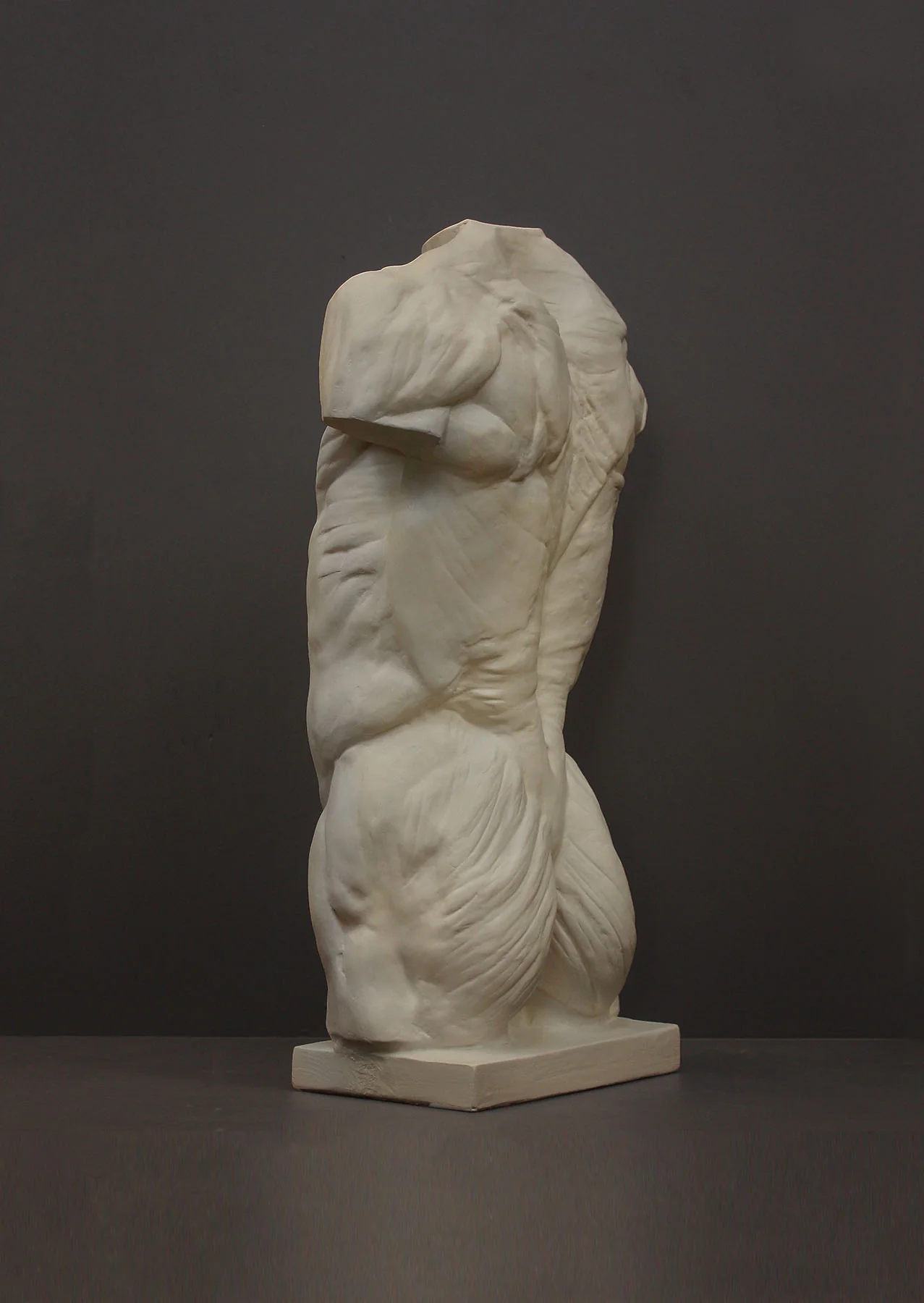 Anatomical Torso - Item #624 - Image 4