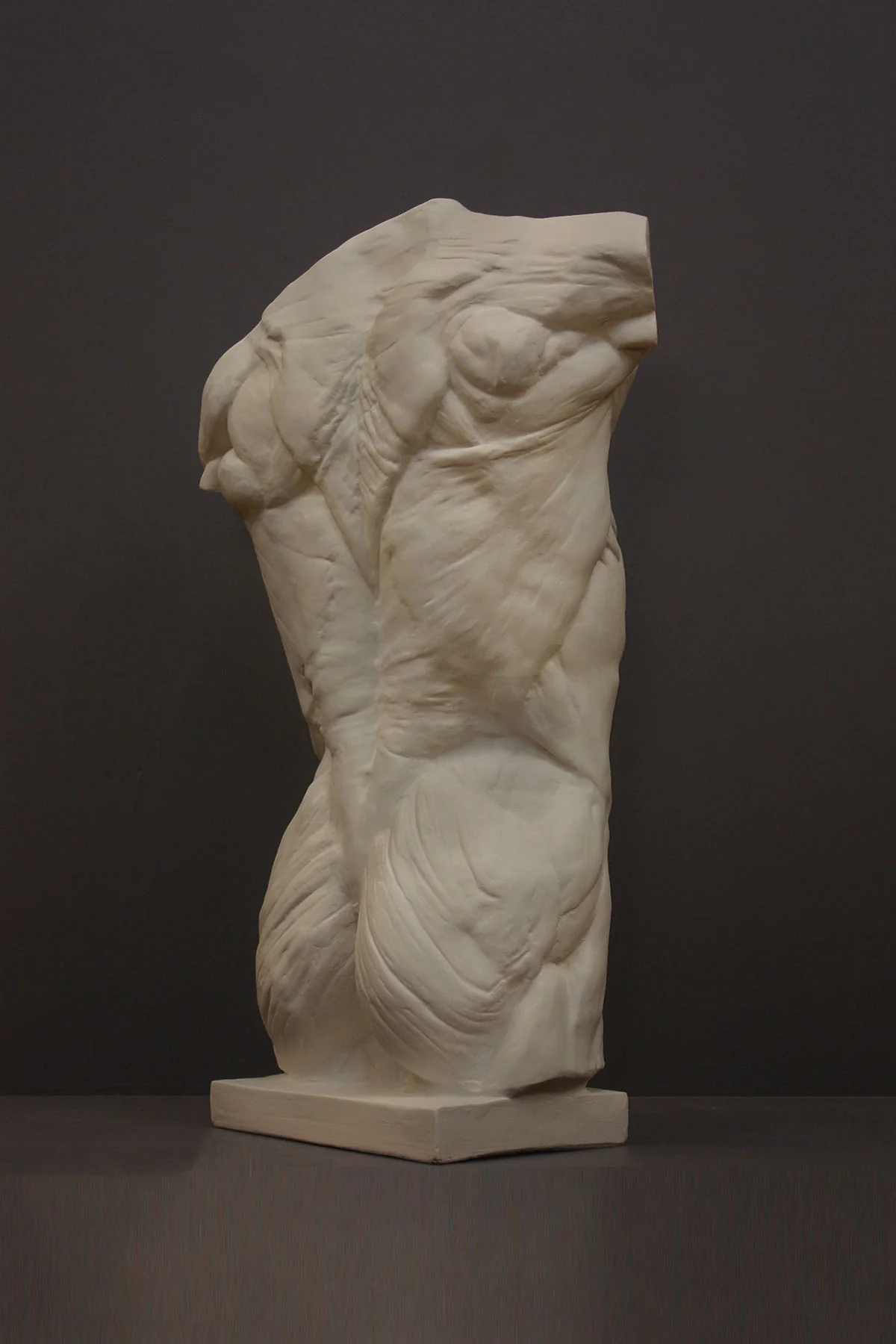 Anatomical Torso - Item #624 - Image 6