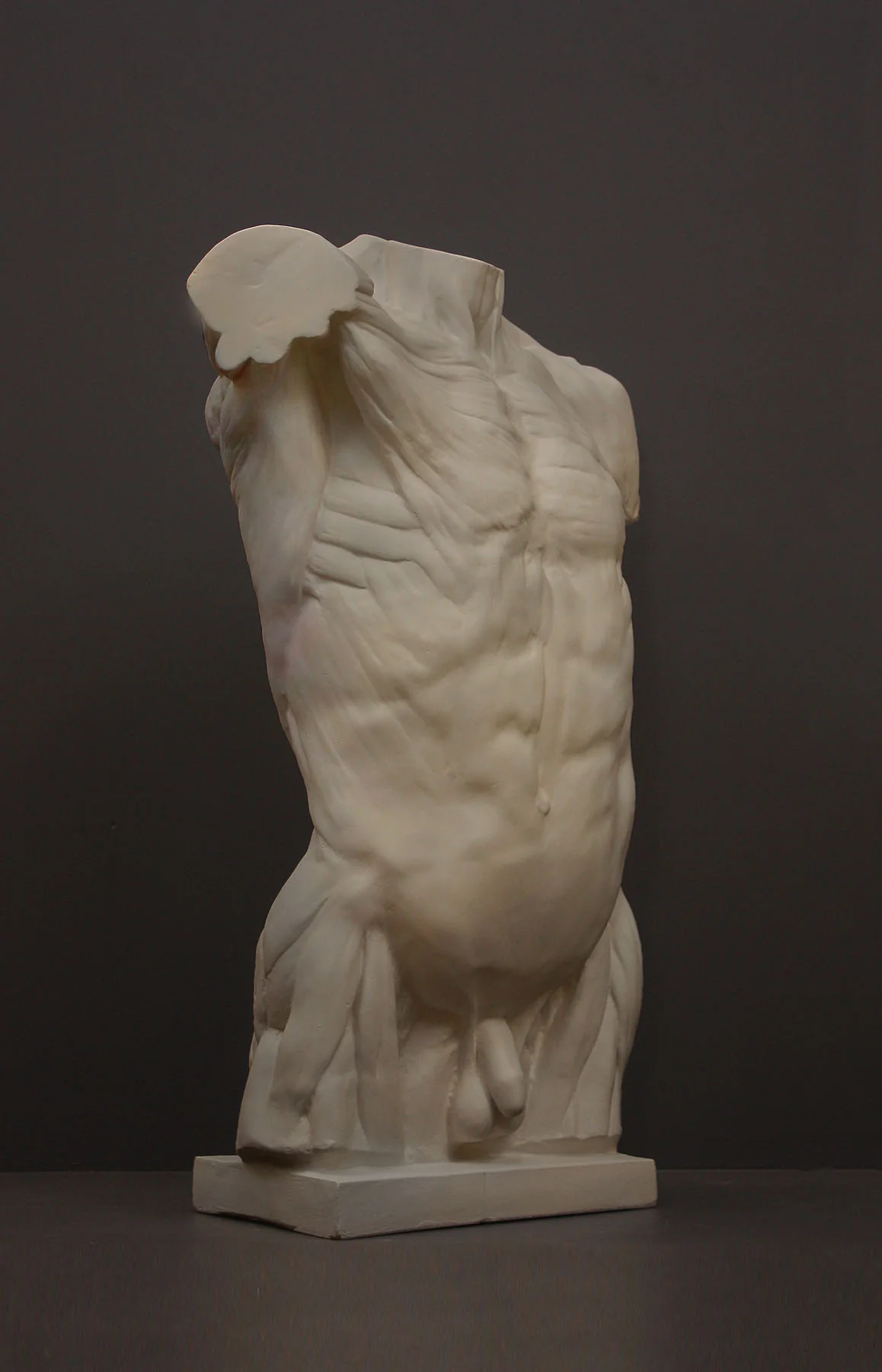 Anatomical Torso - Item #624 - Image 8