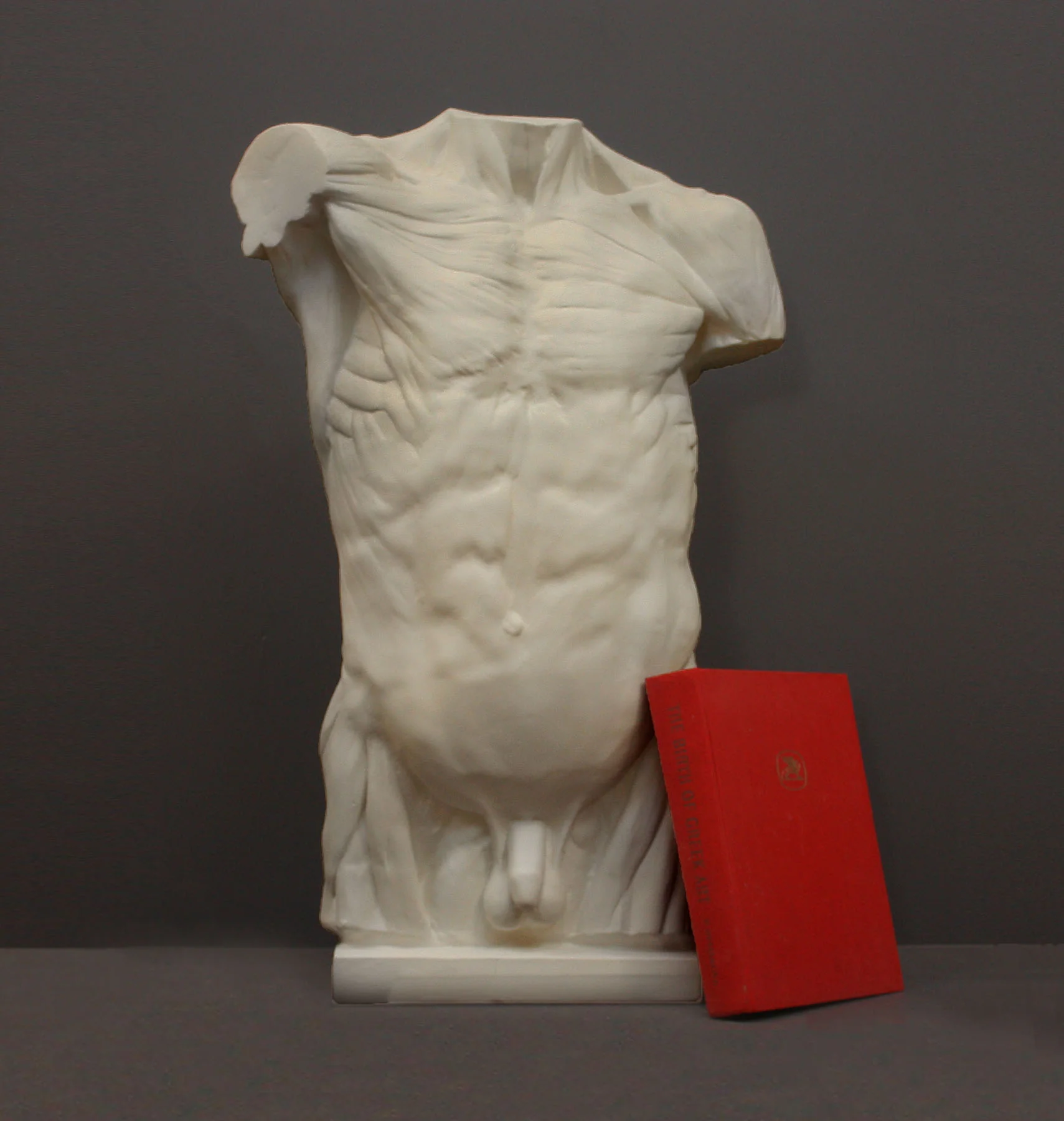 Anatomical Torso - Item #624 - Image 9