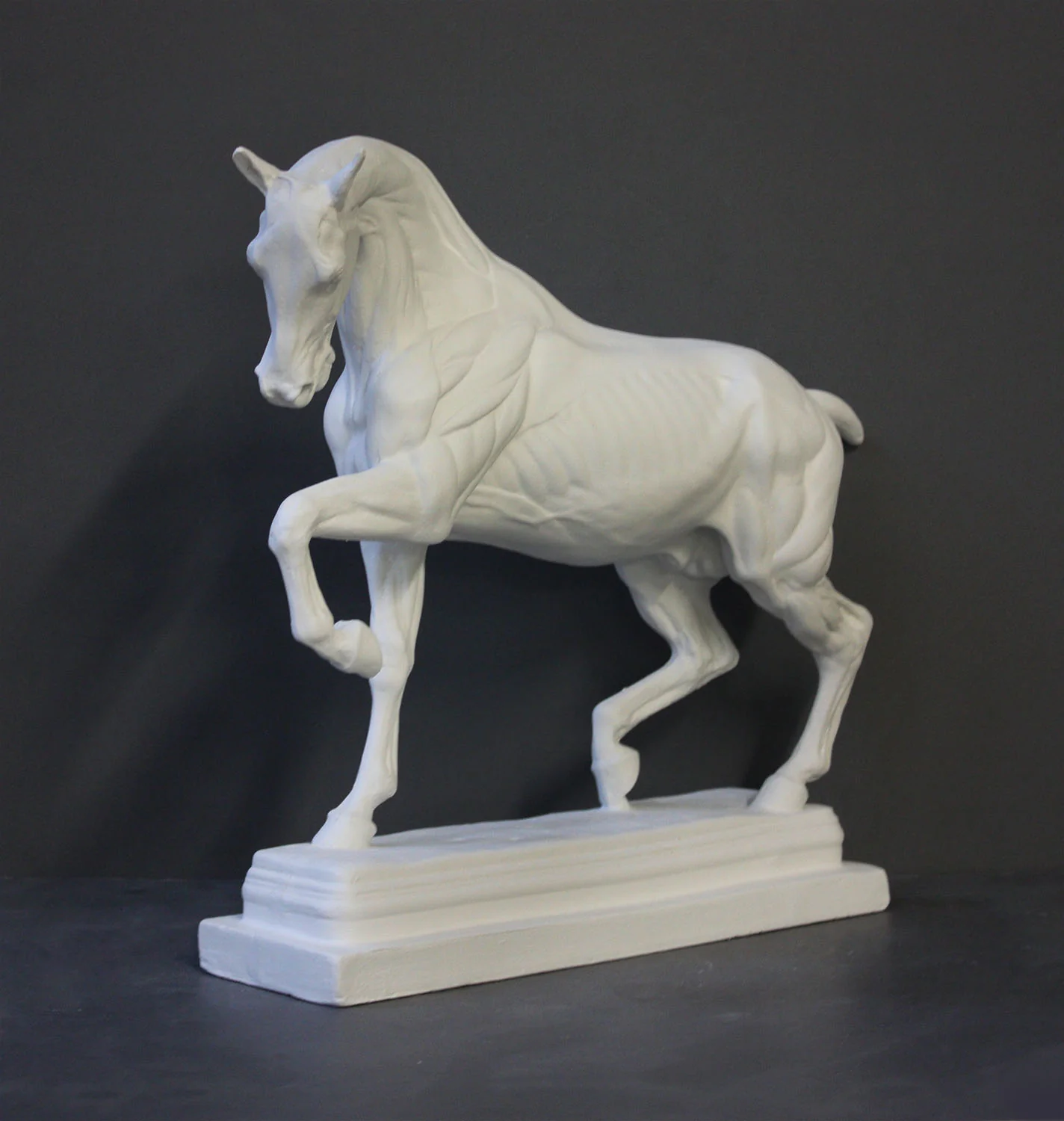 Anatomy of a Horse - Item #603 - Image 3