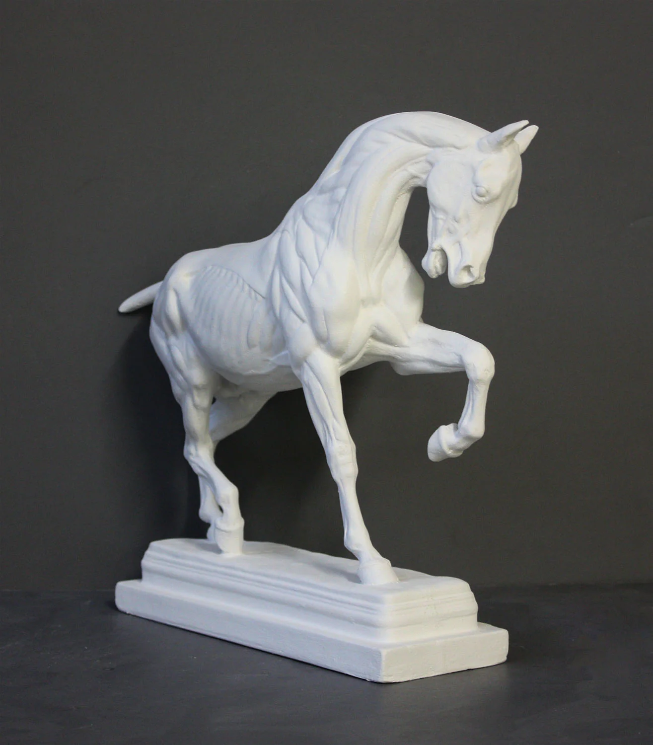 Anatomy of a Horse - Item #603 - Image 4