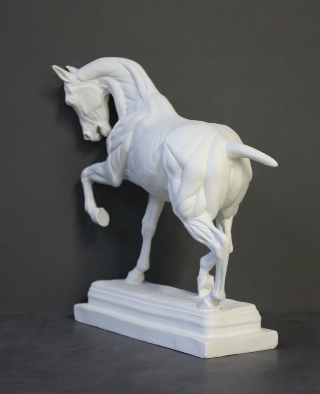 Anatomy of a Horse - Item #603 - Image 5
