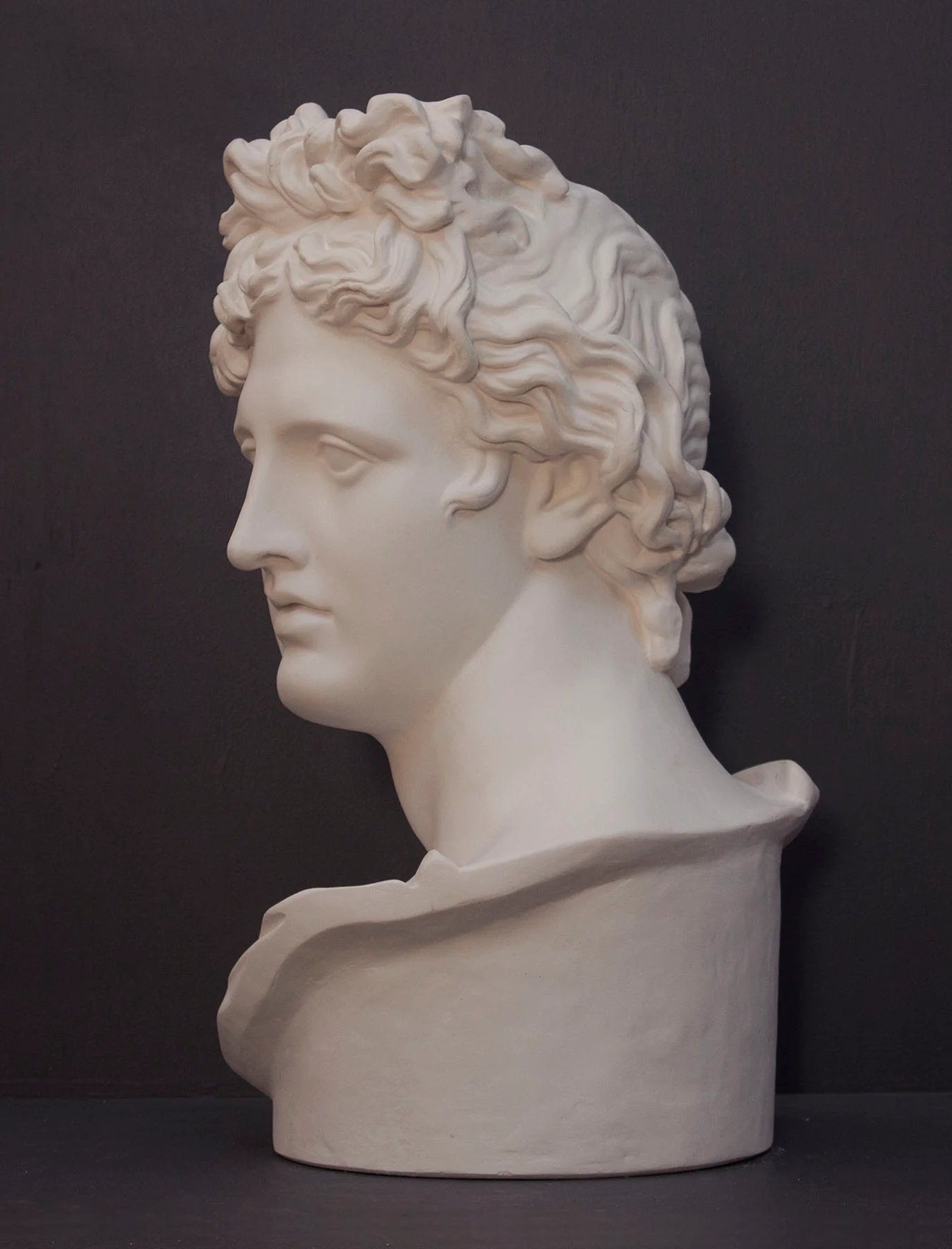 Apollo Belvedere - Item #121 - Image 6