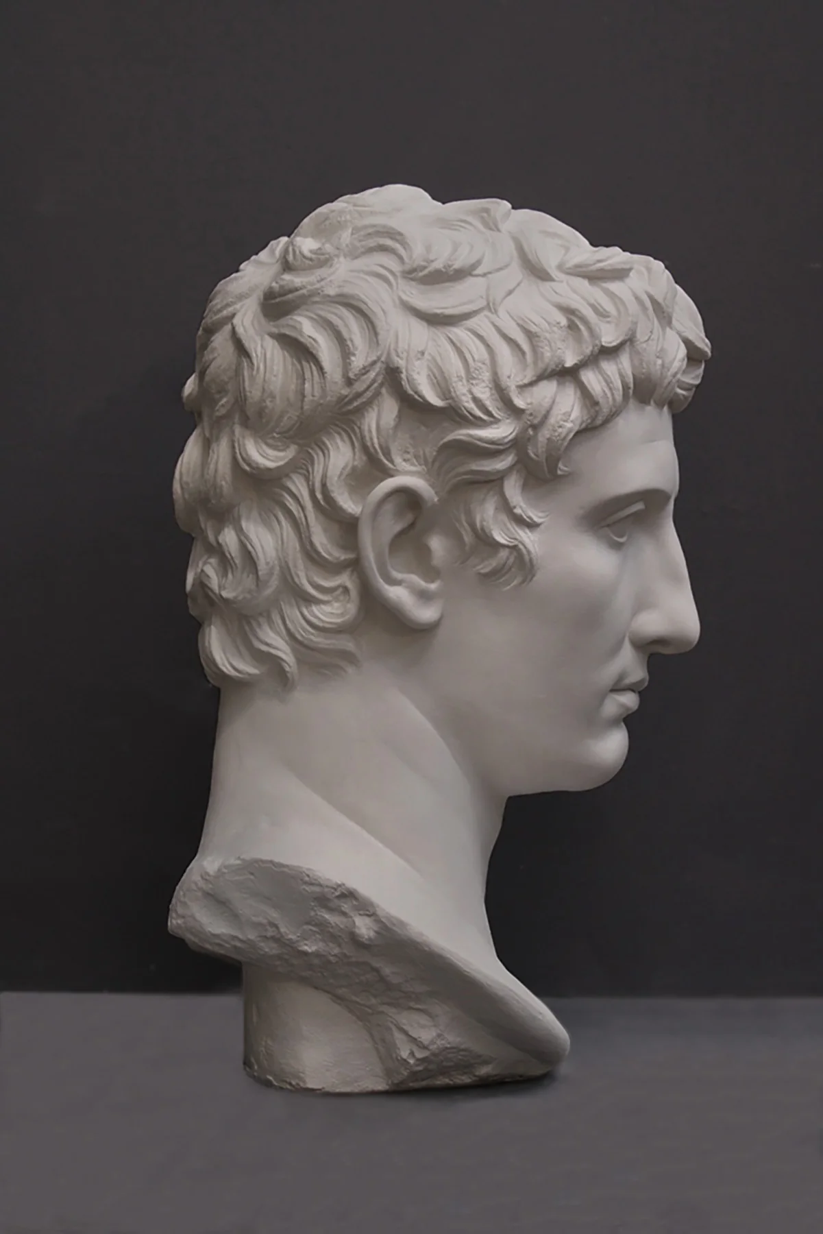 Augustus Caesar Bust - Item #406 - Image 3
