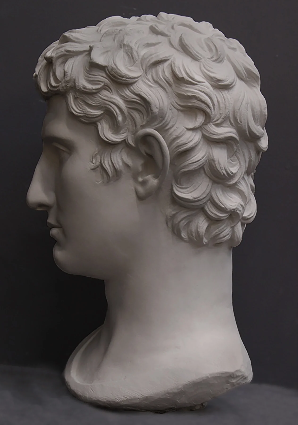 Augustus Caesar Bust - Item #406 - Image 5
