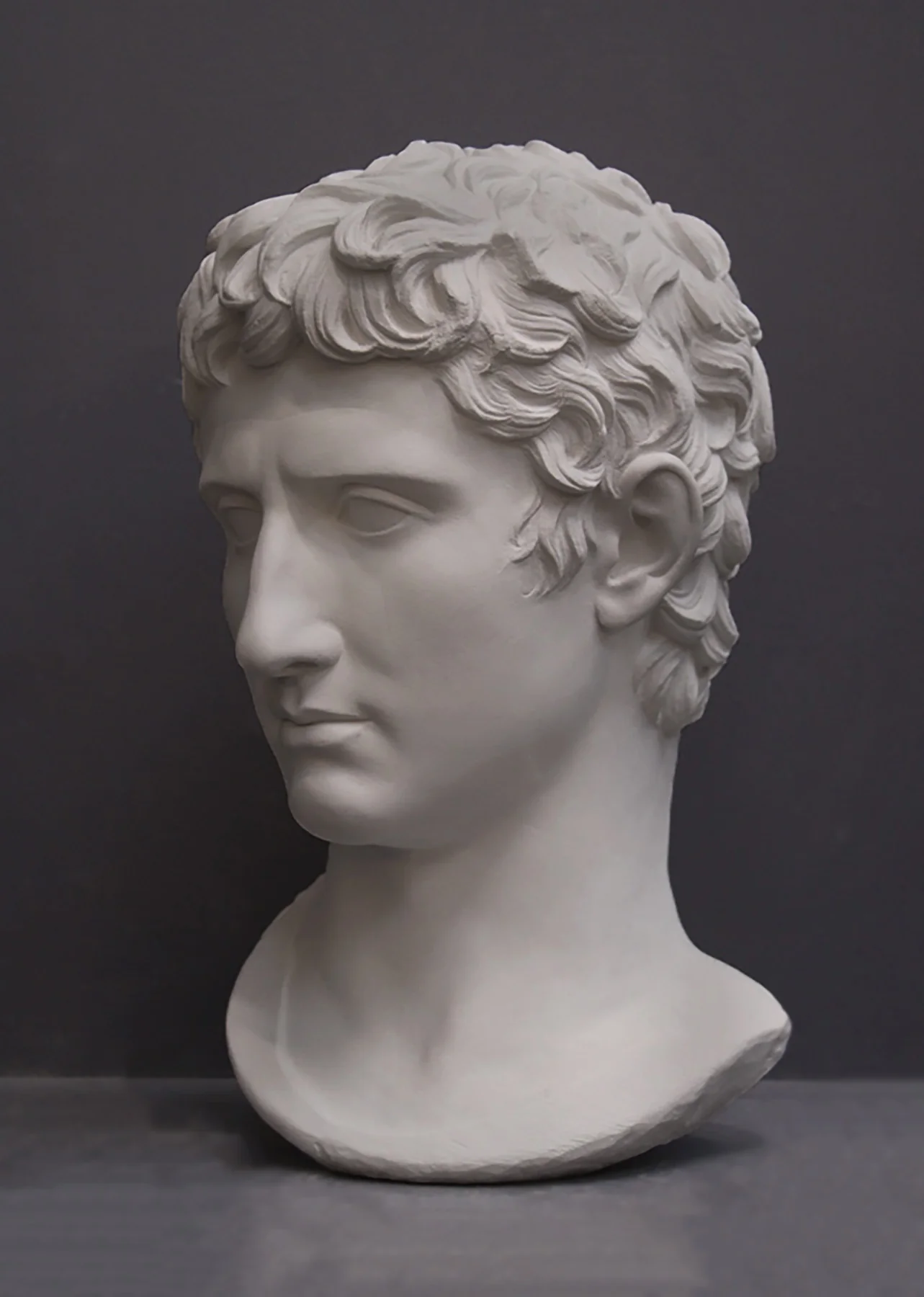Augustus Caesar Bust - Item #406 - Image 6