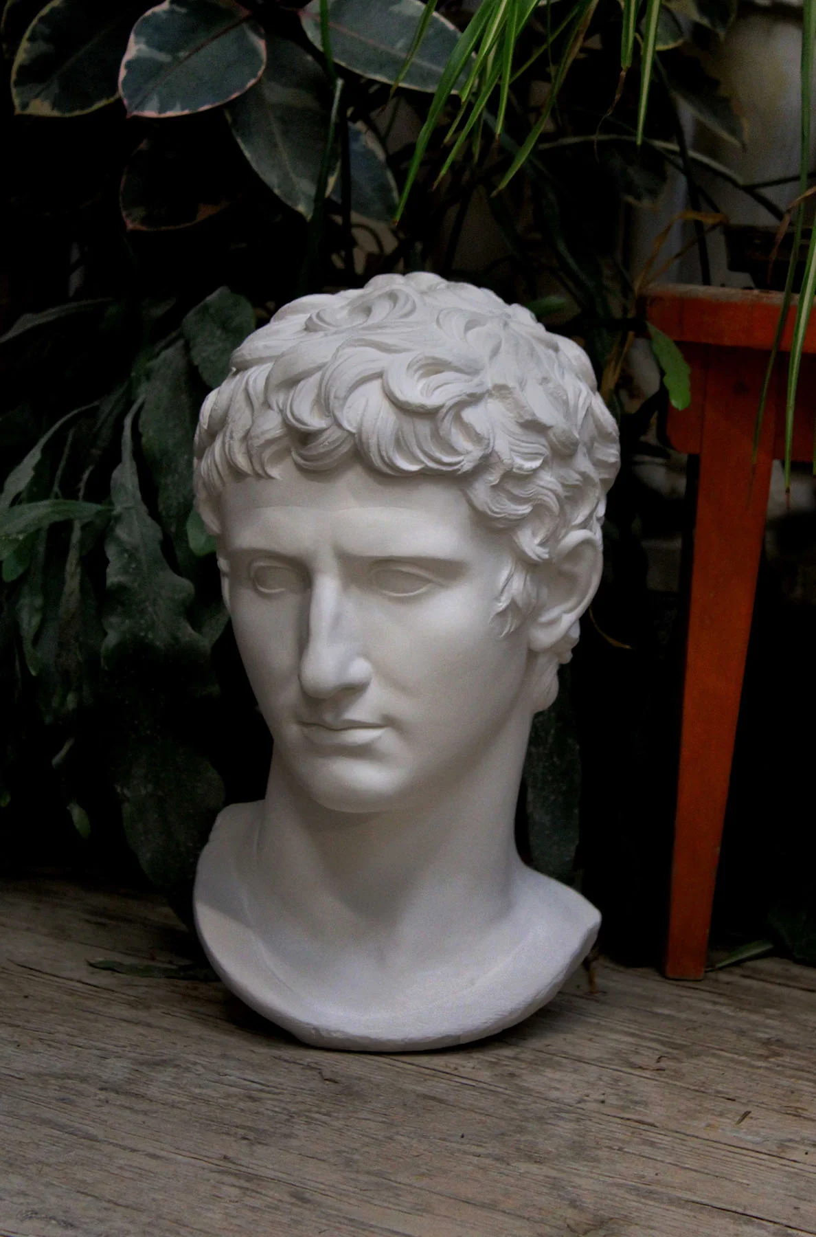 Augustus Caesar Bust - Item #406 - Image 7