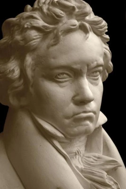 Beethoven - Item #716 - Image 11