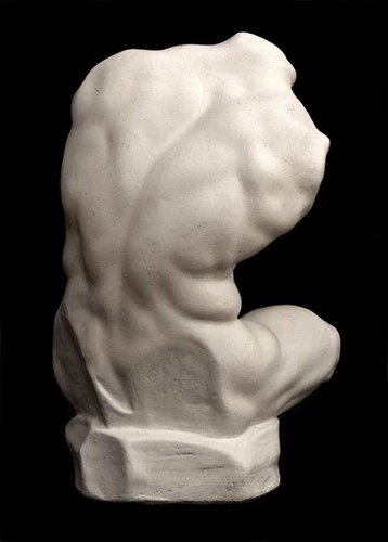 Belvedere Torso Reduction - Item #115 - Image 3