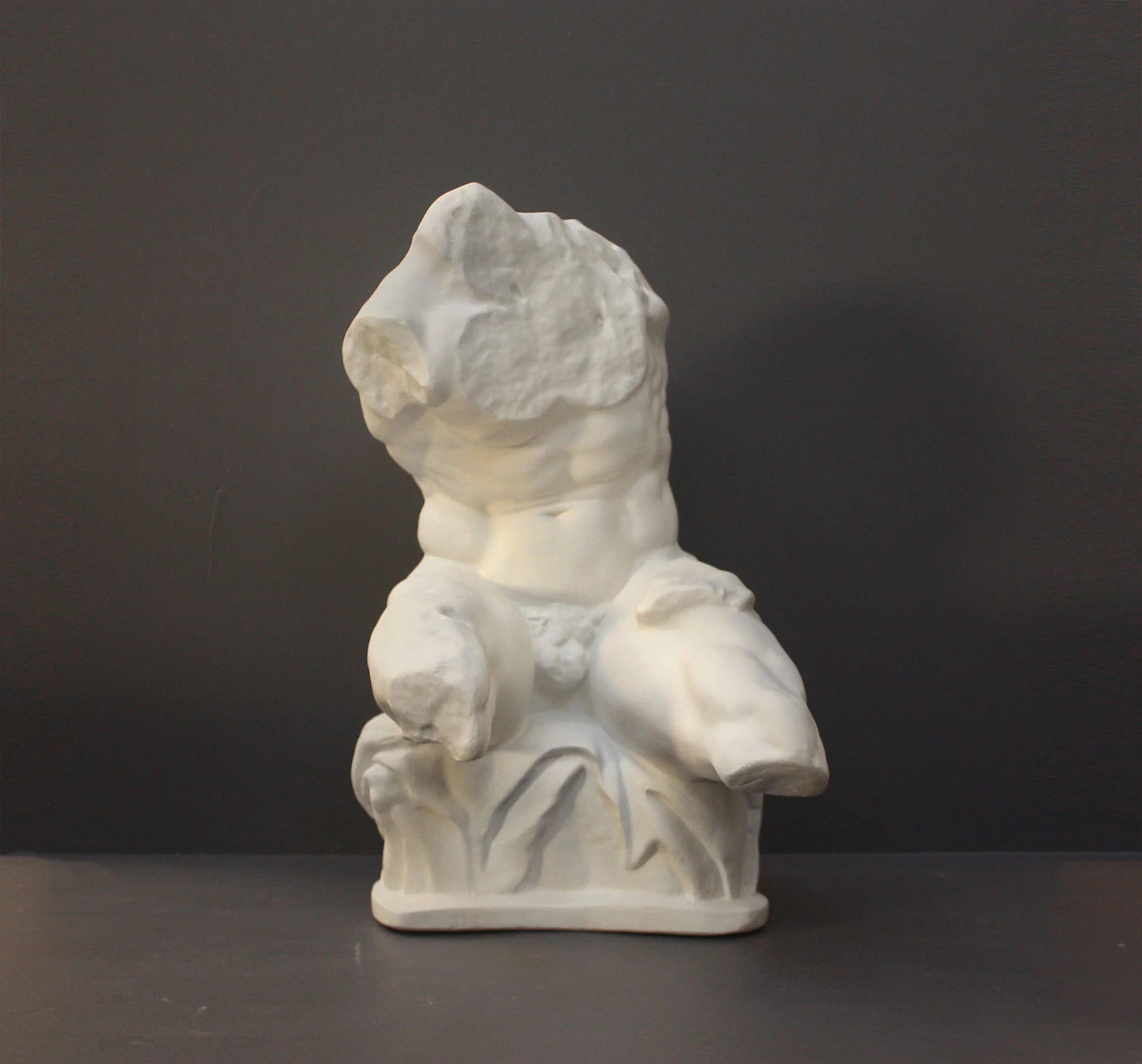 Belvedere Torso Reduction - Item #137