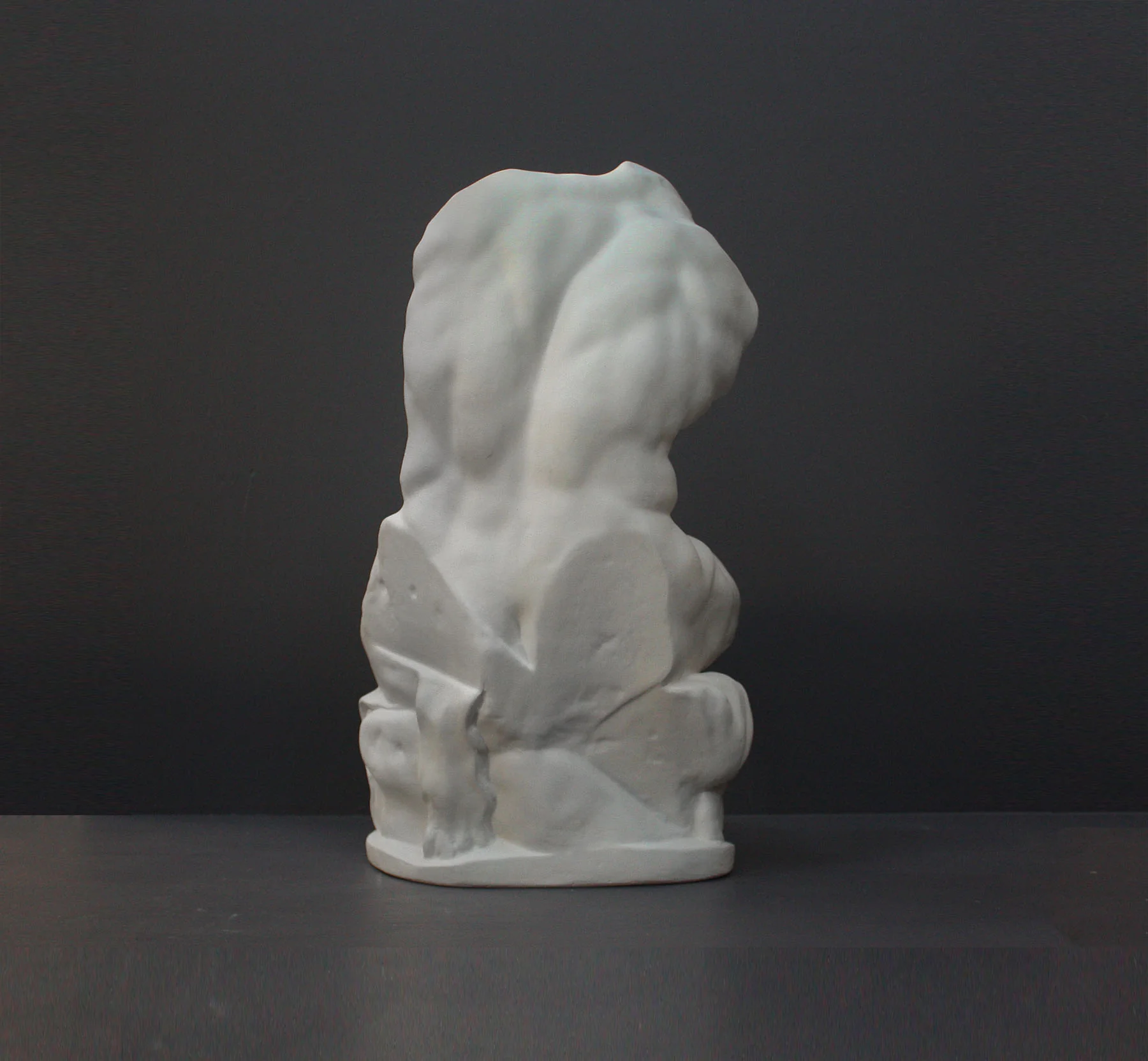 Belvedere Torso Reduction - Item #137 - Image 4