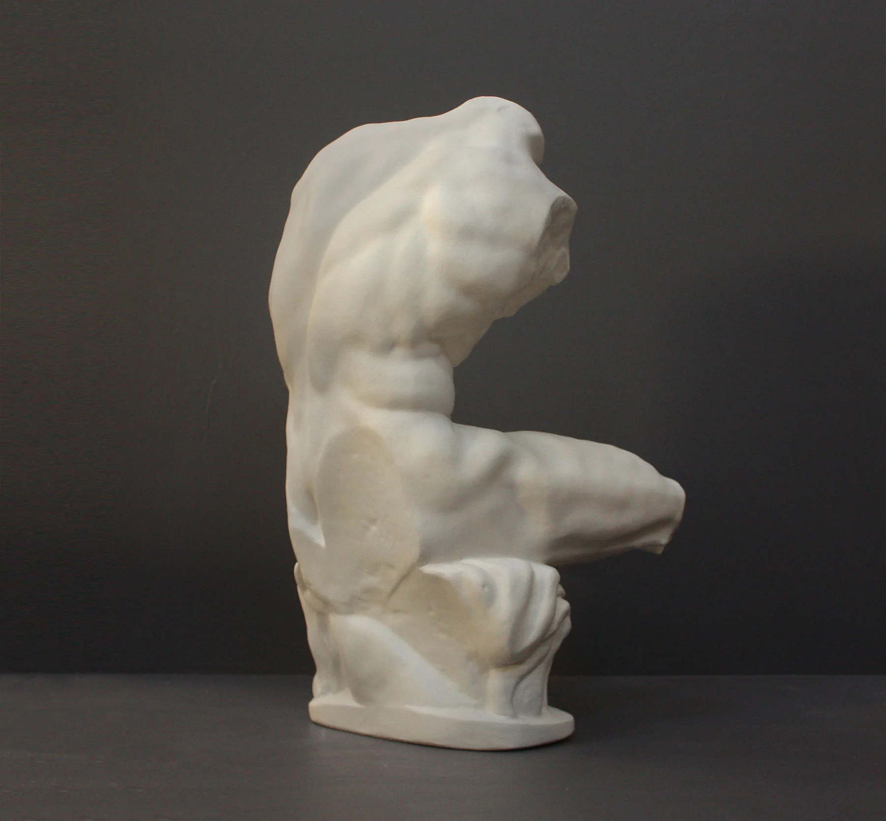 Belvedere Torso Reduction - Item #137 - Image 5