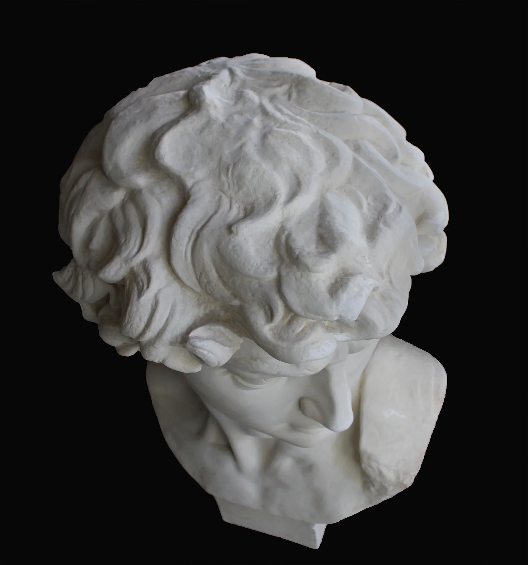 David Full-Size Bust - Item #99 - Image 4