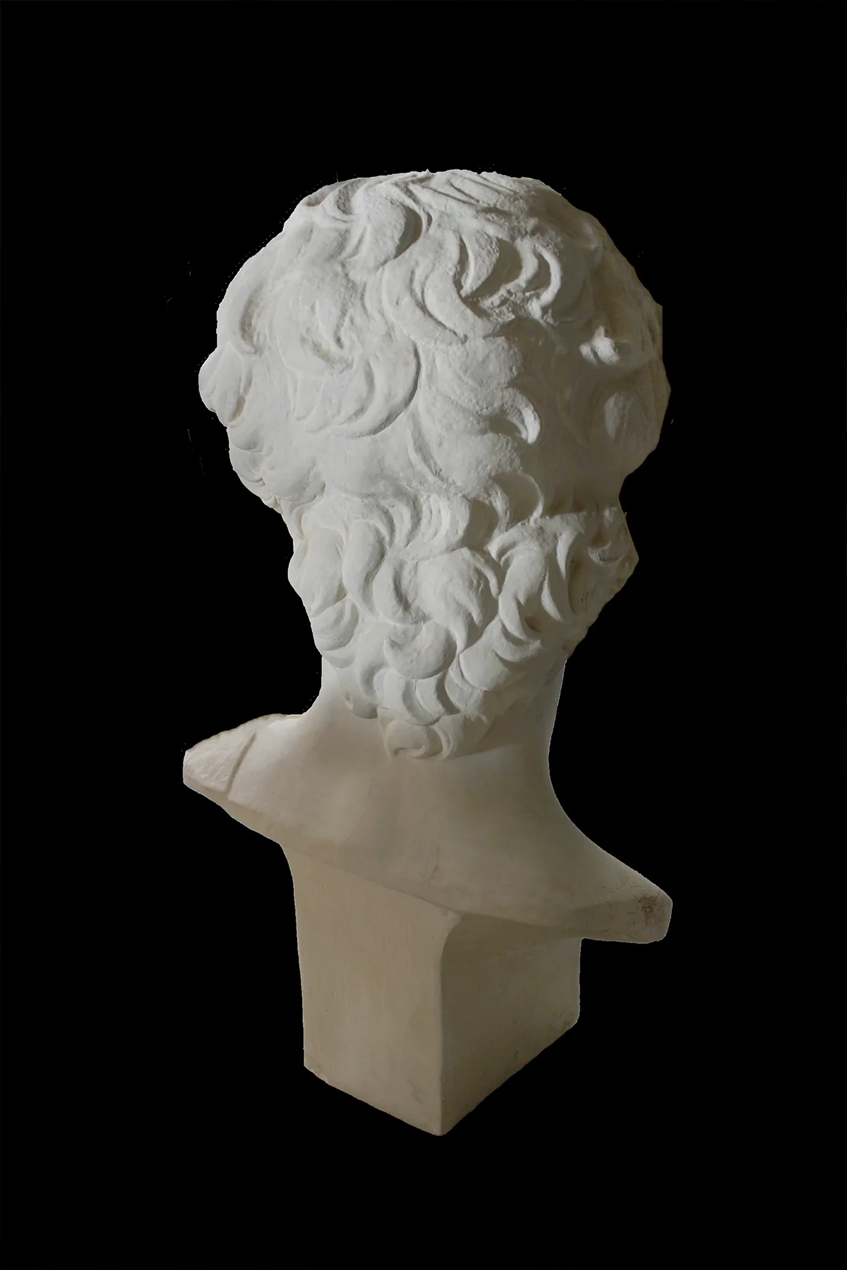 David Full-Size Bust - Item #99 - Image 5