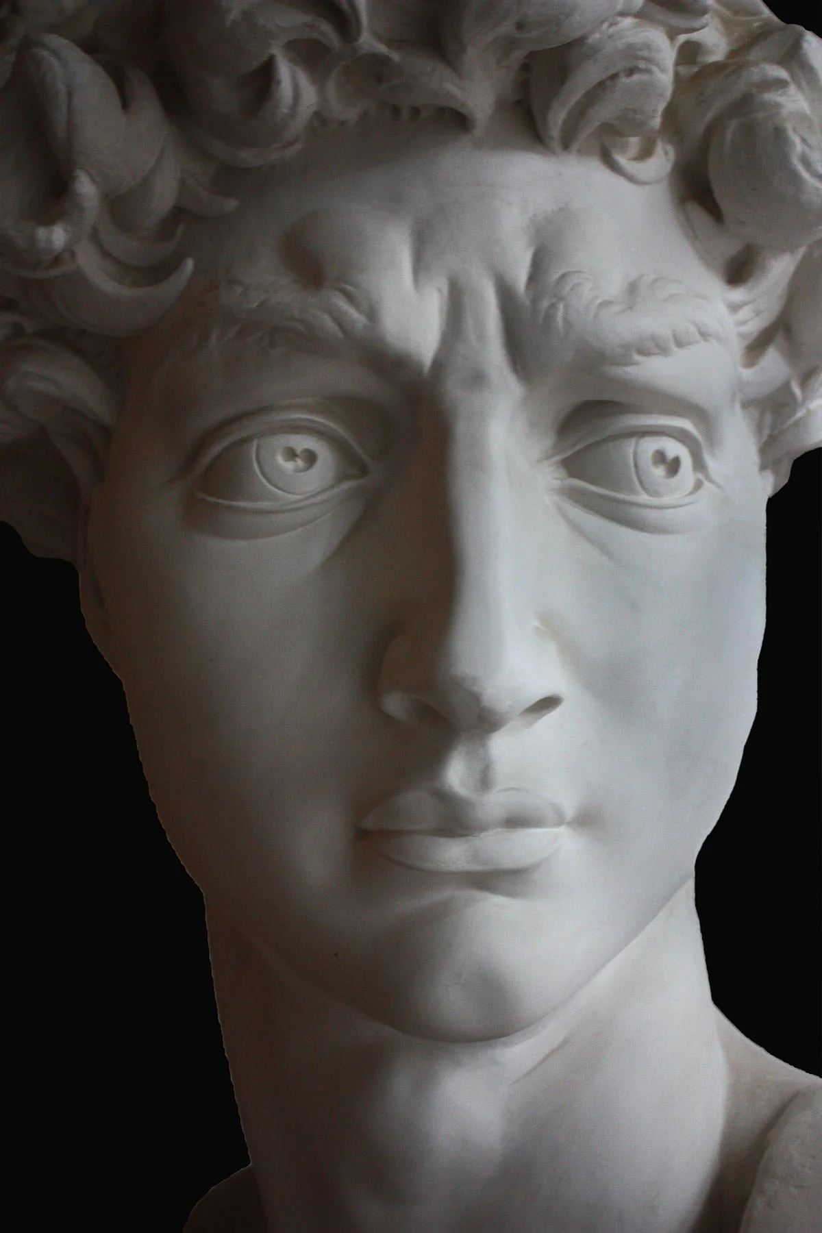 David Full-Size Bust - Item #99 - Image 7