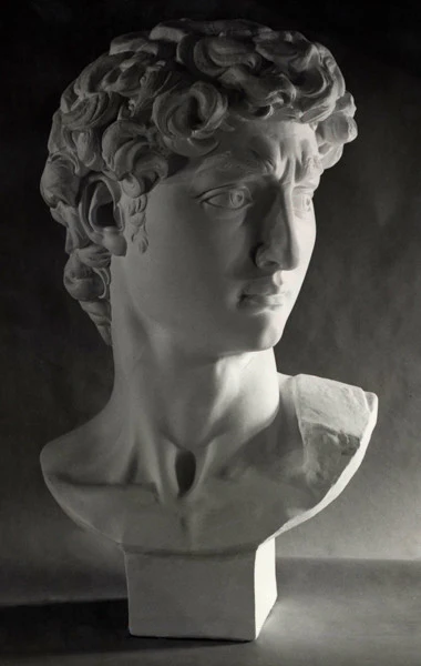 David Full-Size Bust - Item #99 - Image 8