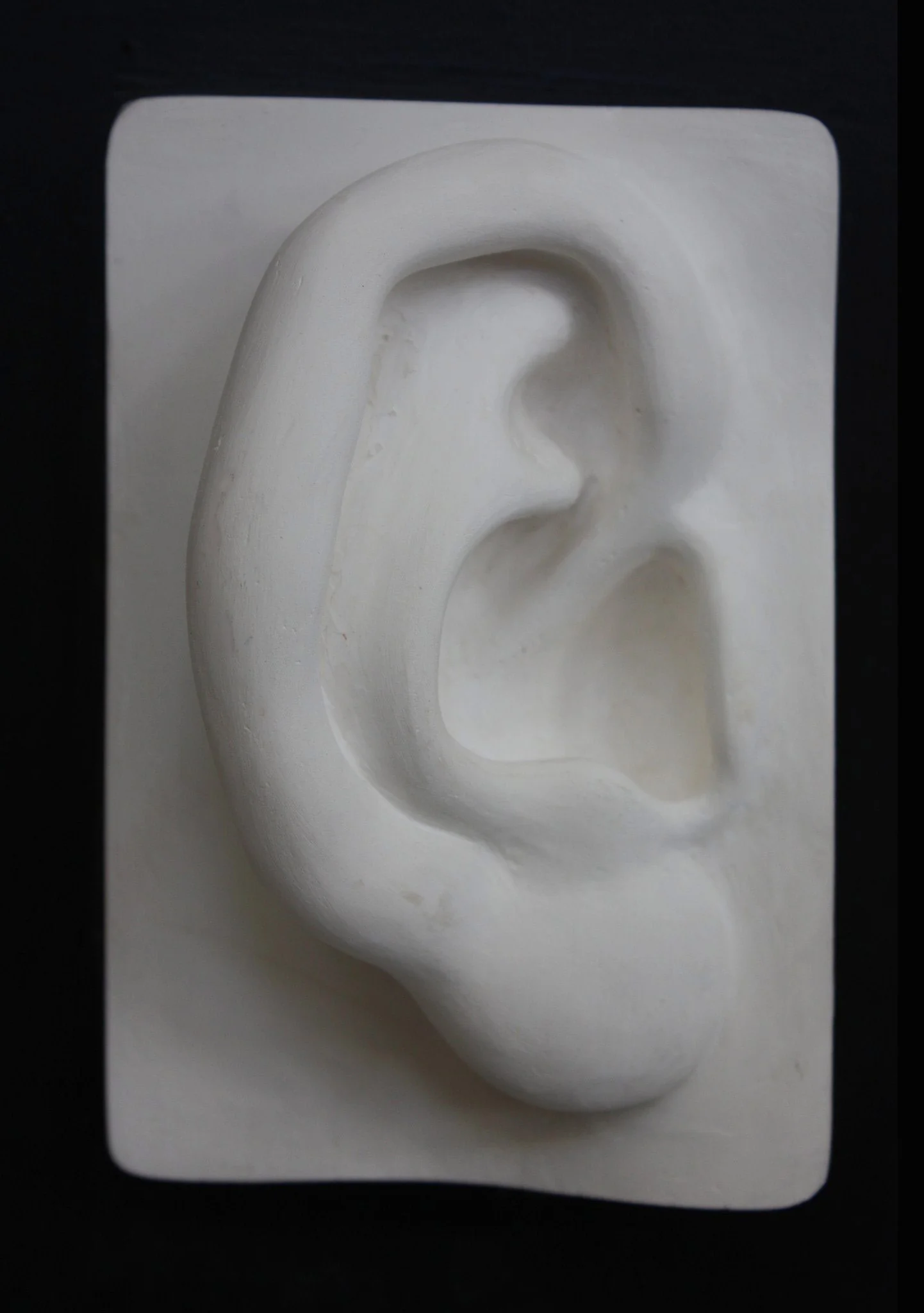 David Reduction Detail - Ear, Right - Item #769