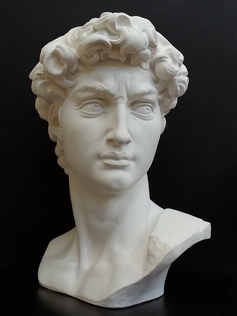 David Reduction Bust - Item #96