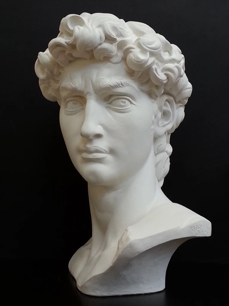 David Reduction Bust - Item #96 - Image 2