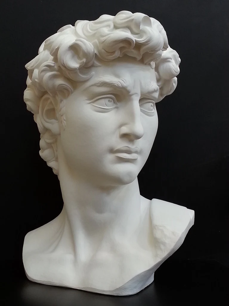 David Reduction Bust - Item #96 - Image 3